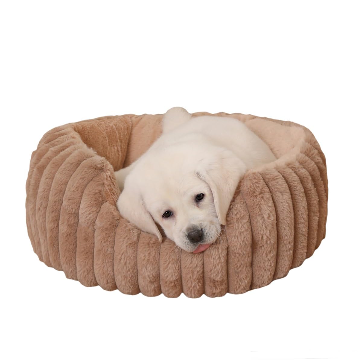 Donut Dog Bed, Cat Bed Kitten Bed, Washable Round Cat Beds for Indoor Cats, Soft Thickened Kitten Beds for Indoor Kittens, Anti-Anxiety Calming Pet Bed with Non-Slip Bottom (Small)