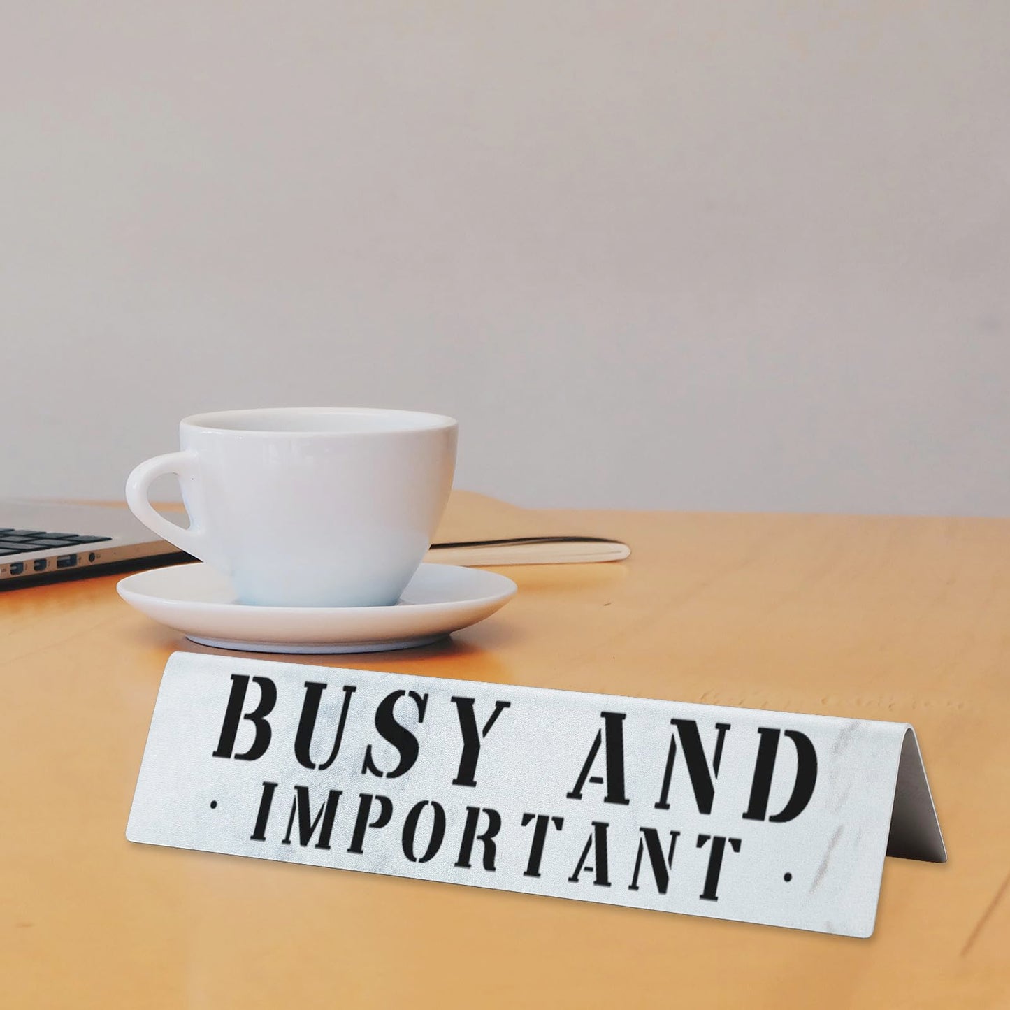 Funny Desk Name Plate “Busy and Important” Office Name Sign for Professionals, Executives, Admin Assistants, Workplace Humor Decor, Coworker Desk Quote Gifts VTP40