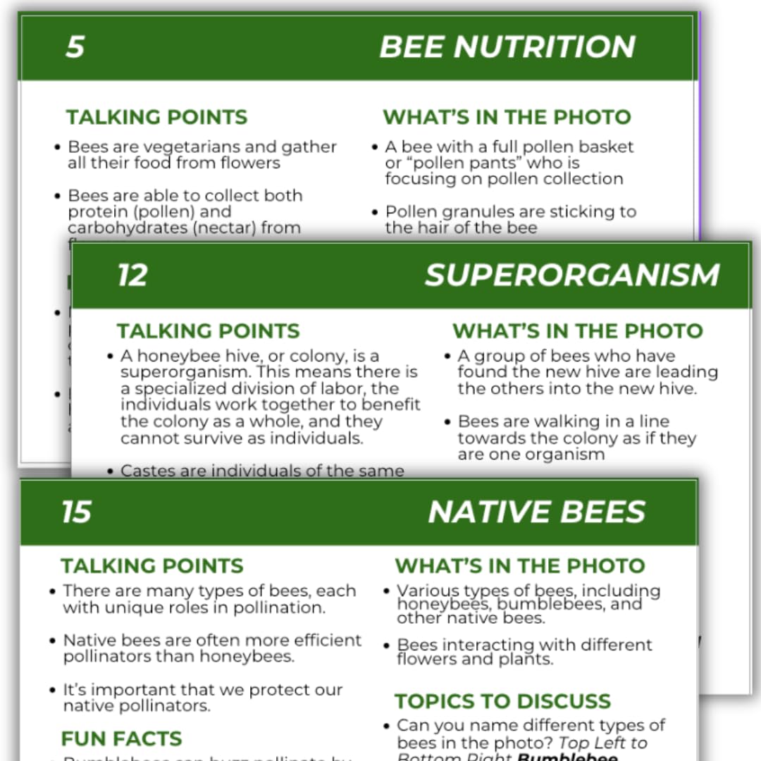 Educational Beekeeping Cards – 12x18 Oversized Beekeeping Flashcards for Teaching Bees and Beekeeping - Classroom and Workshop Learning Tool (Complete Set - Laminated)