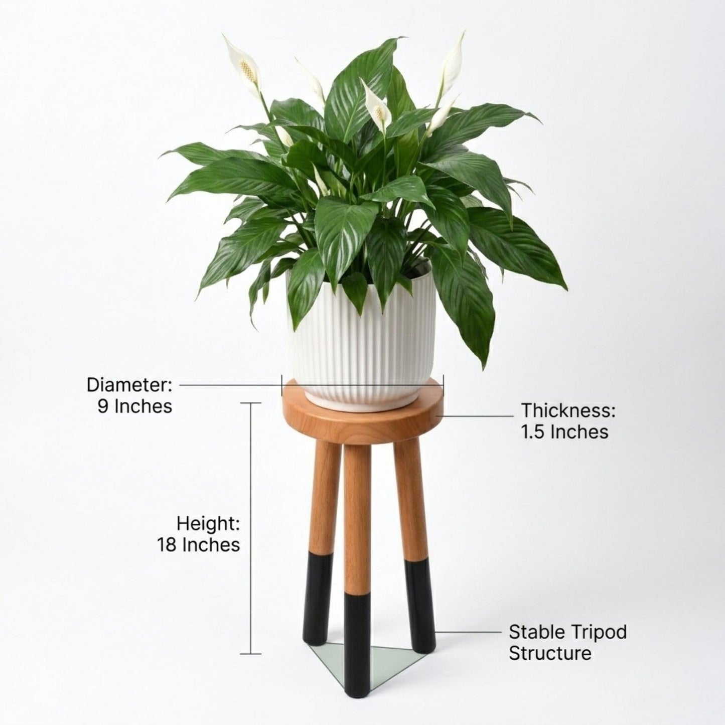 JOLLYMER Rubber Wood 9" Round Plant Stand |Dip Dyed Black Accent Stool |Small Drinking Table |Side Table(18" H)