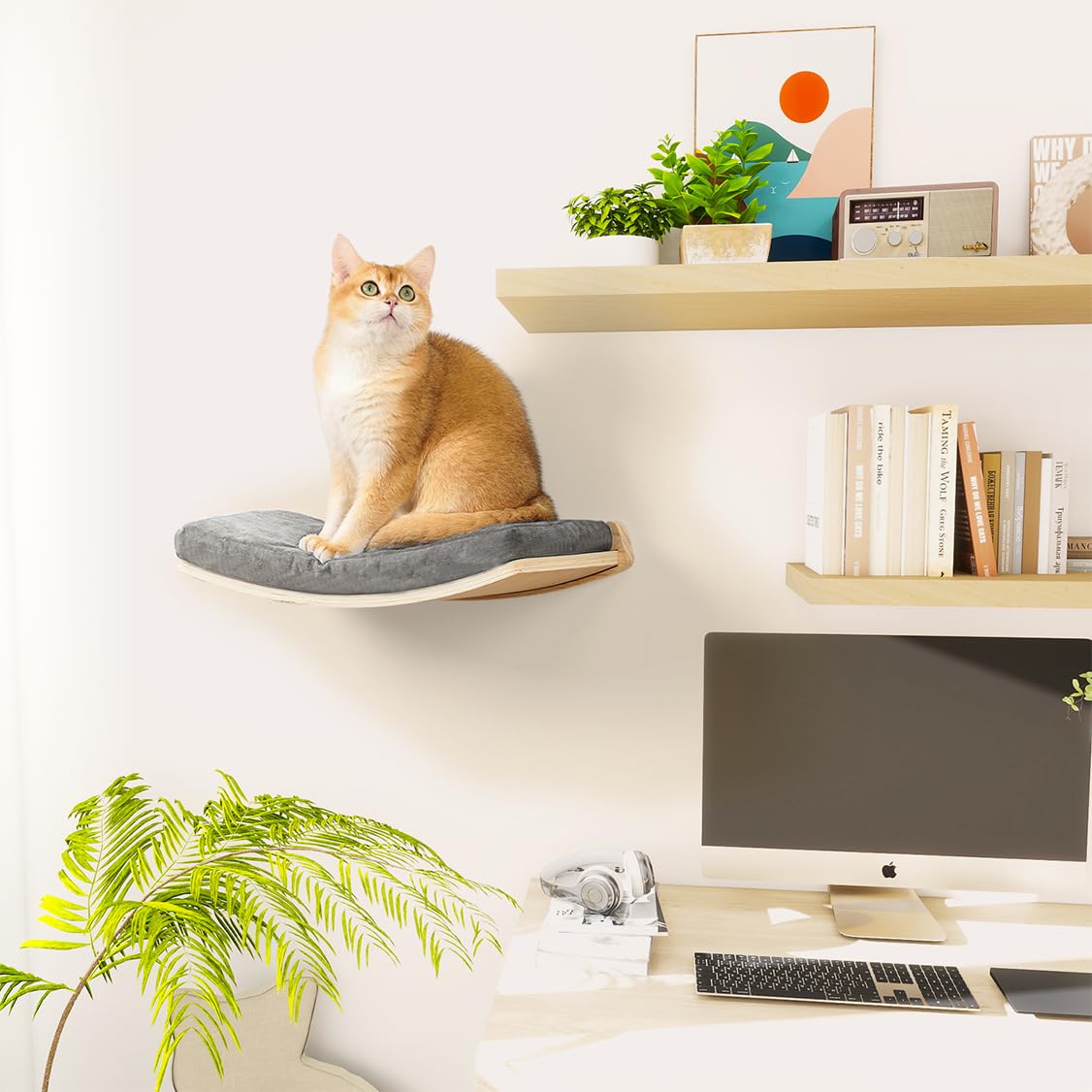 COOLEX Curved Cat Shelves and Perches, Floating Cat Wall Bed with Comfortable Cushion