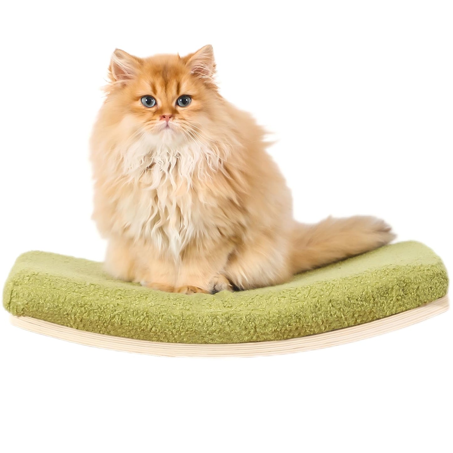 COOLEX Curved Cat Shelves and Perches, Floating Cat Wall Bed with Comfortable Cushion