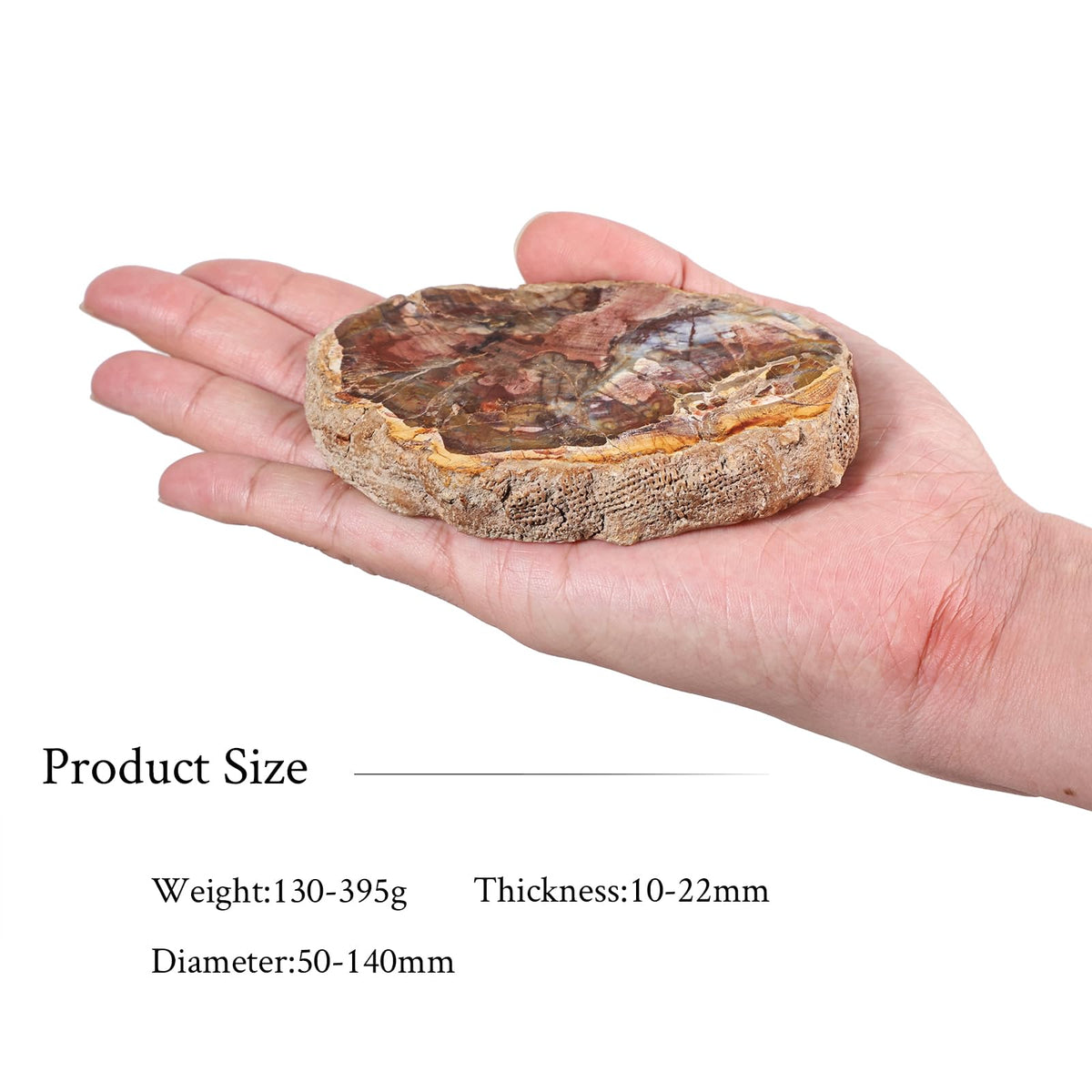 Sportmusies Natural Petrified Wood Slice Mineral Specimen Home Office Decoration, Irregular-Shaped Fossil Wood Stone Reiki Meditation, 1.96-5.51 inches