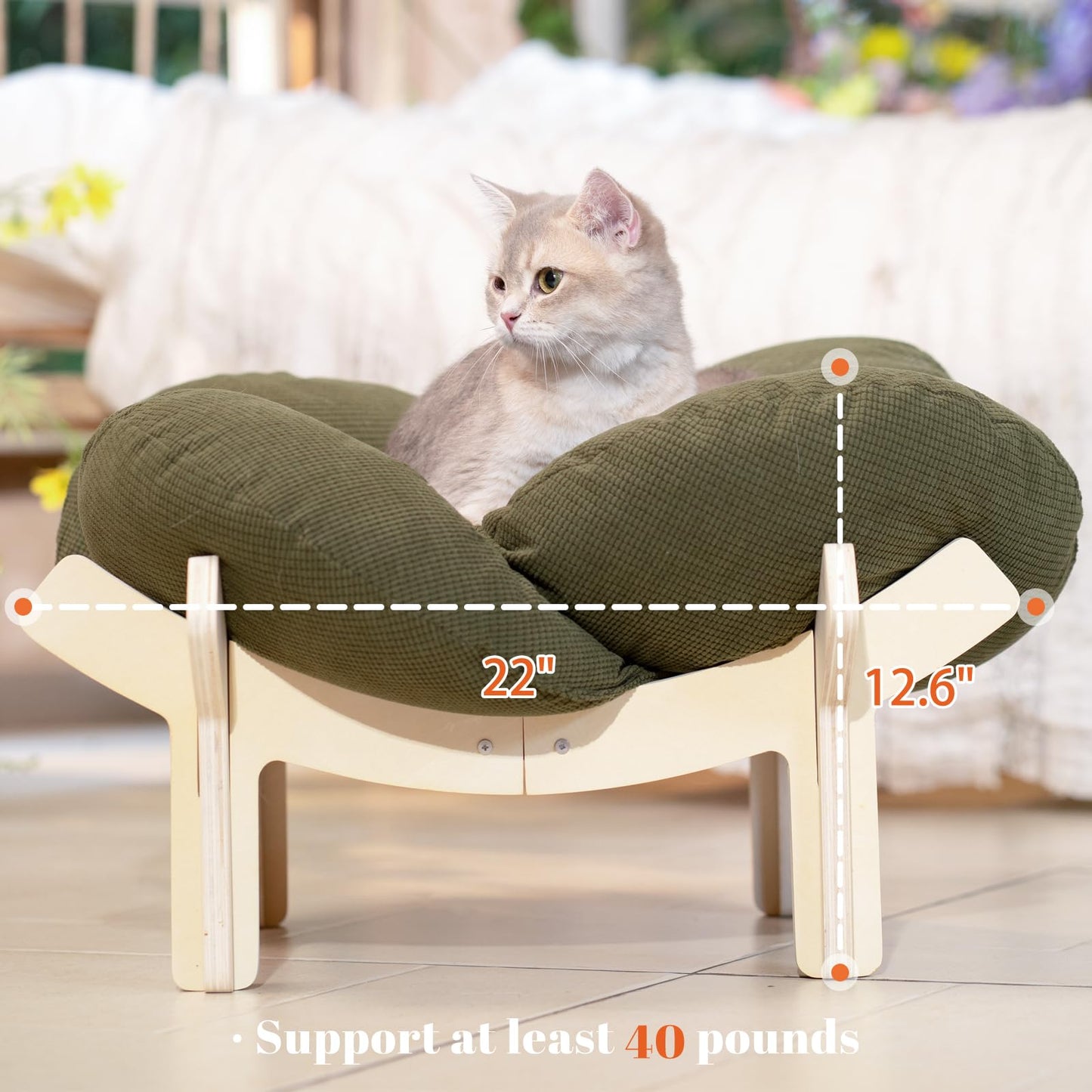 CHEERHOME PETS Elevated Cat Bed Wooden with Cushion Fluffy Pet Couch Sofa for Indoor Cats Raised Kitty Lounge Chair Suitable for Puppy, Cat Furniture(Green)