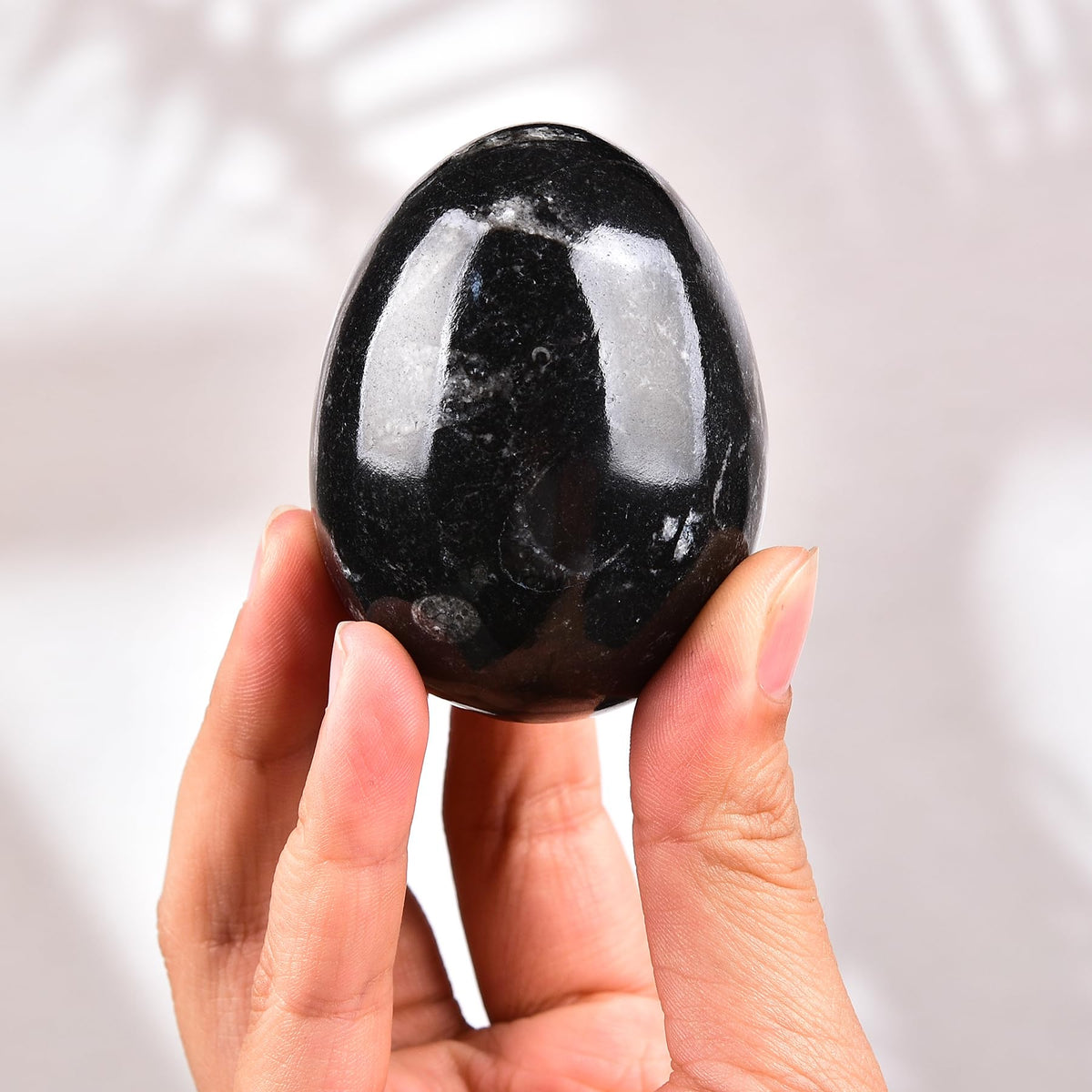 AMOYSTONE Orthoceras Stone Egg Black with Natural Stone Base for Healing Reiki Home Decors Medium, Single Height 2.5-3"