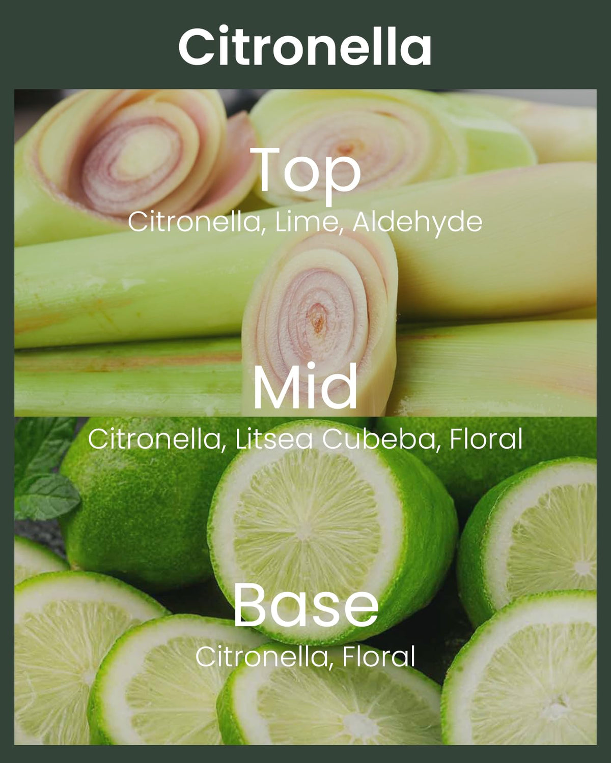 M&SENSE Citronella Candles Outdoor, 250 Hours Burn Natural Citronella Oil Soy Candle for Patio Camping, 40 oz Large Long Lasting Lemongrass Summer Candles for Indoor Home Scented