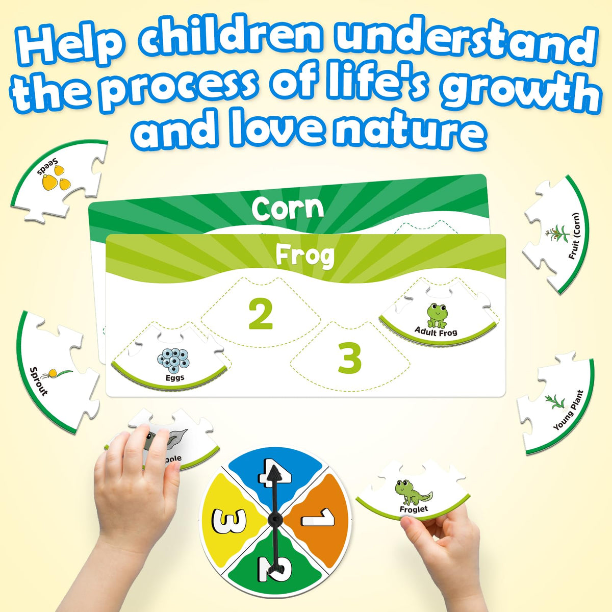 Edulok Life Cycle Toys for Kids, Toddler Puzzles, Preschool Science Kits for Kids 3-5, Kindergarten Learning Activities, Learning Education Toys, PreK Classroom Essentials, Homeschool Supplies