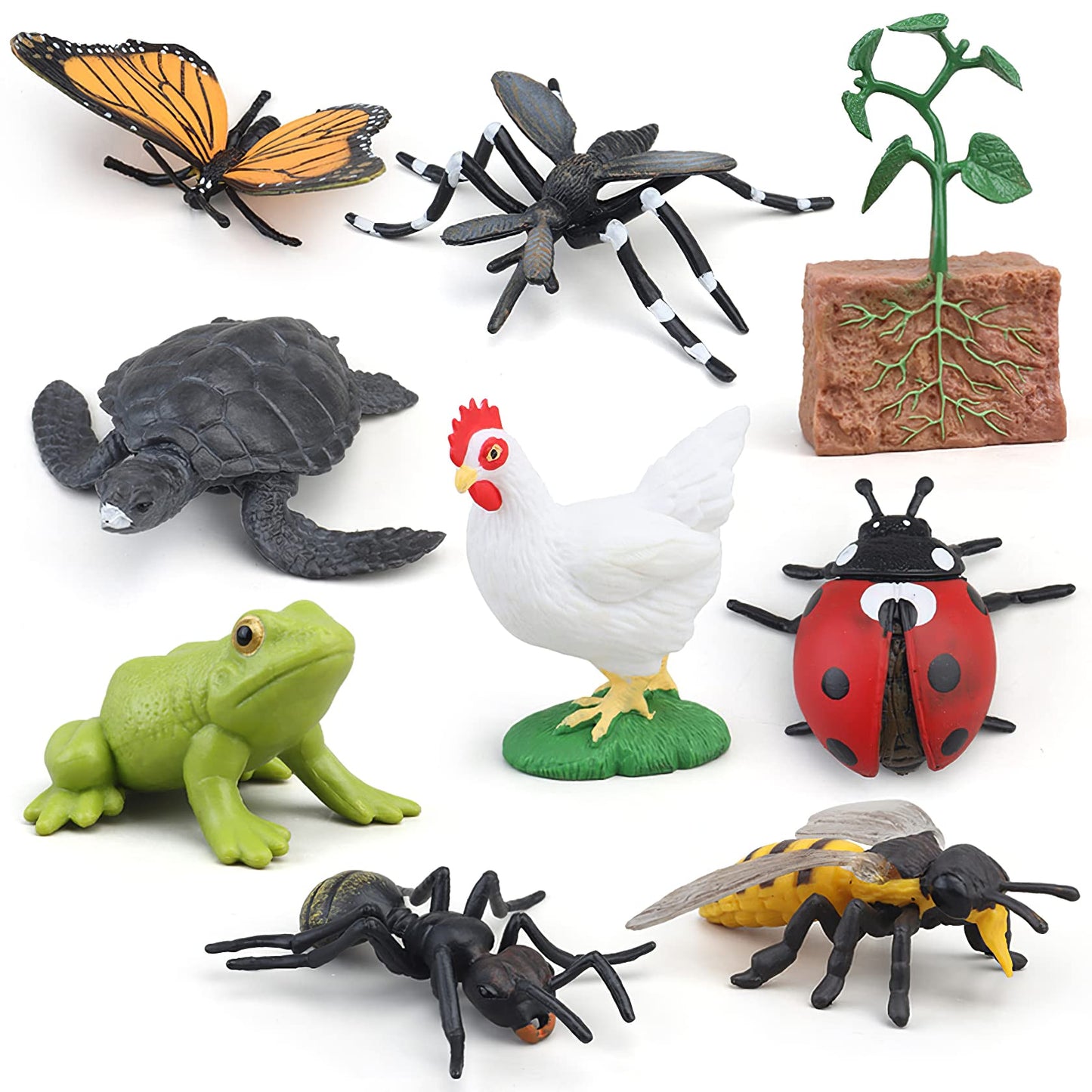 MIKNEKE Montessori Frog Life Cycle with Flash Cards, Plastic Insects Tadpole to Frog Kit Toy, Realistic Animal Figurines