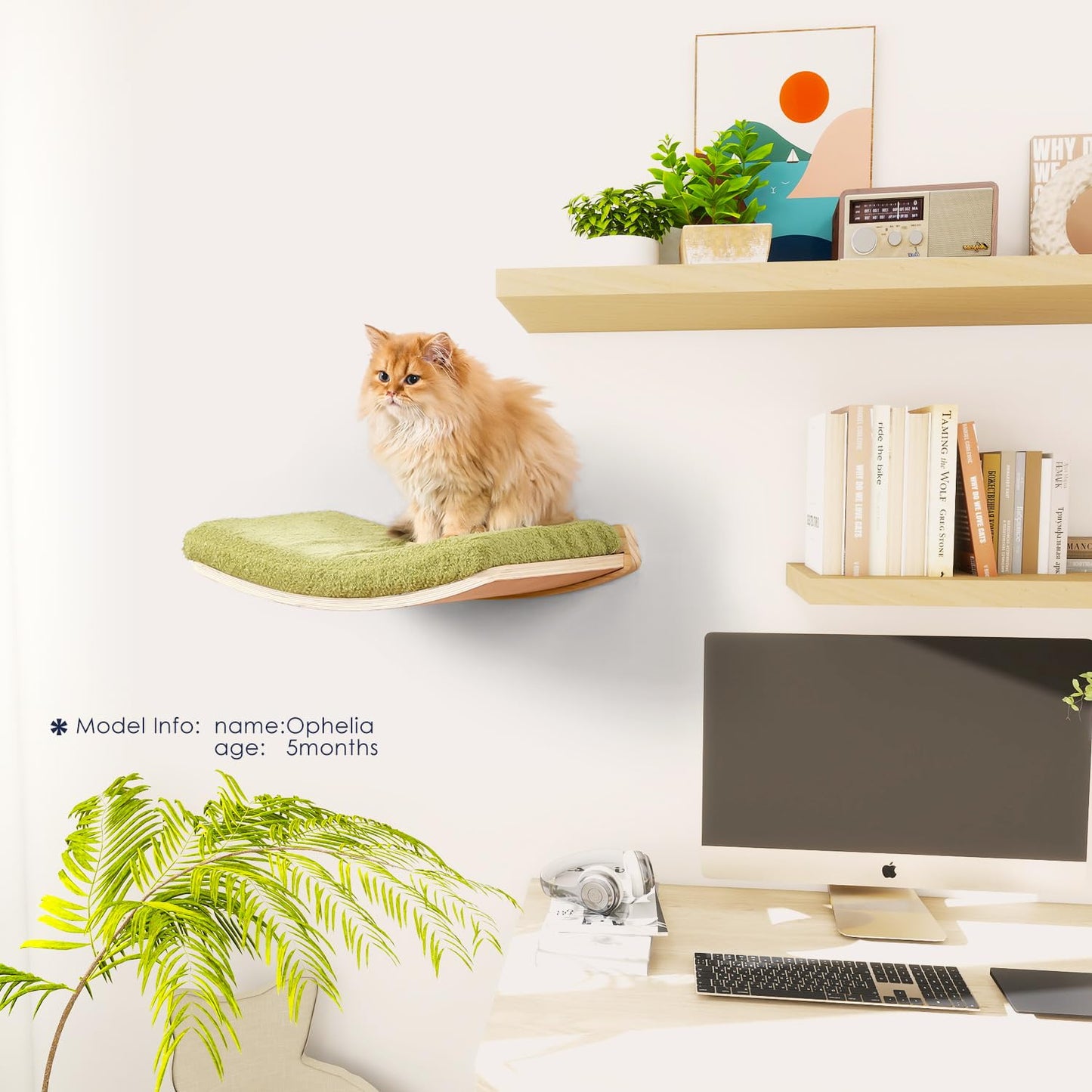 COOLEX Curved Cat Shelves and Perches, Floating Cat Wall Bed with Comfortable Cushion