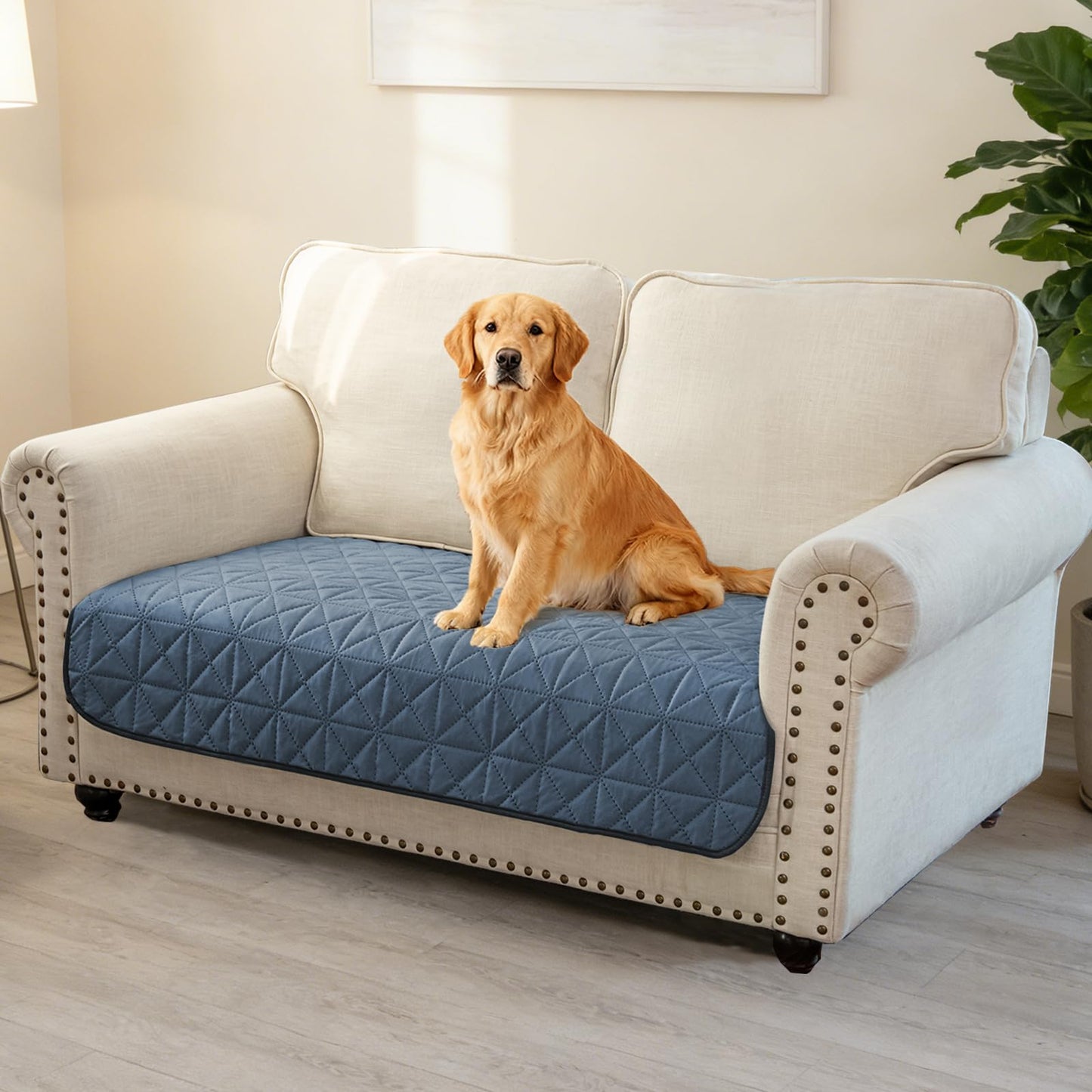 Ameritex Sofa Cover Waterproof for Seats Couch Cover for Dogs Pet Couch Cover Velvet for Chair Loveseat Sofa Machine Washable