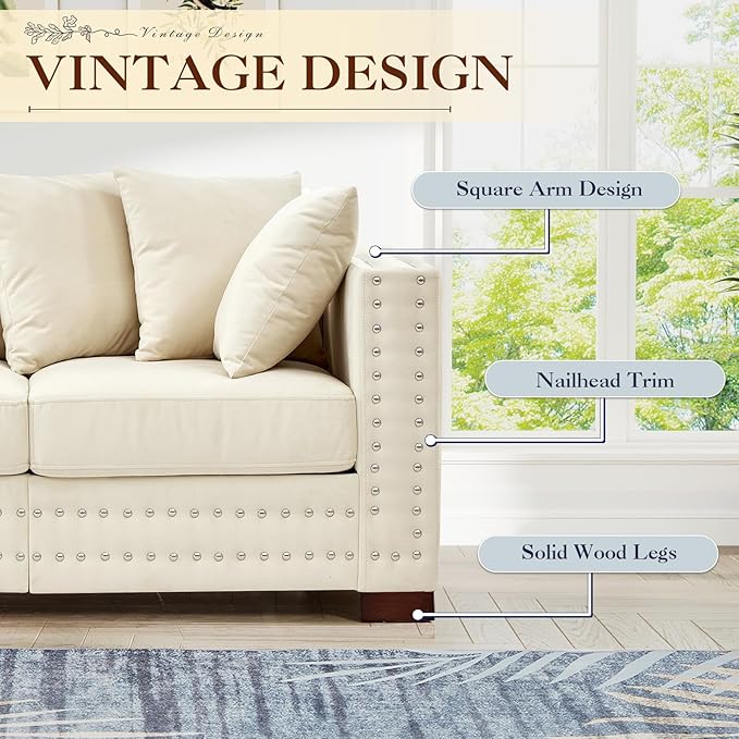 2 Piece Velvet Couch and Loveseat Sets, Mid Century Modern Couch