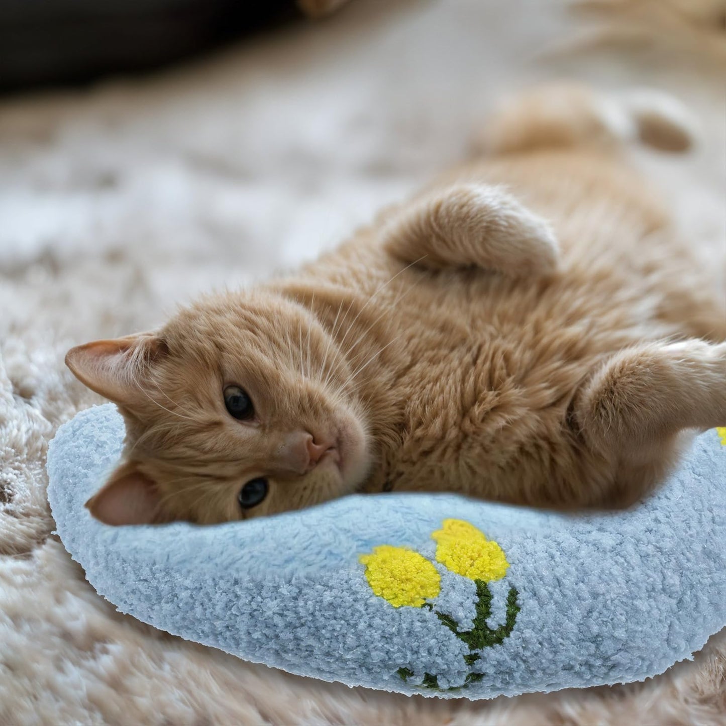 Hpmjz Dog Pillow Dogs Calming Pillow Soft Neck Pillow Anxiety Relief Sleeping Toy Ultra Soft High Density Washable Gift for Better Small Cats Joint