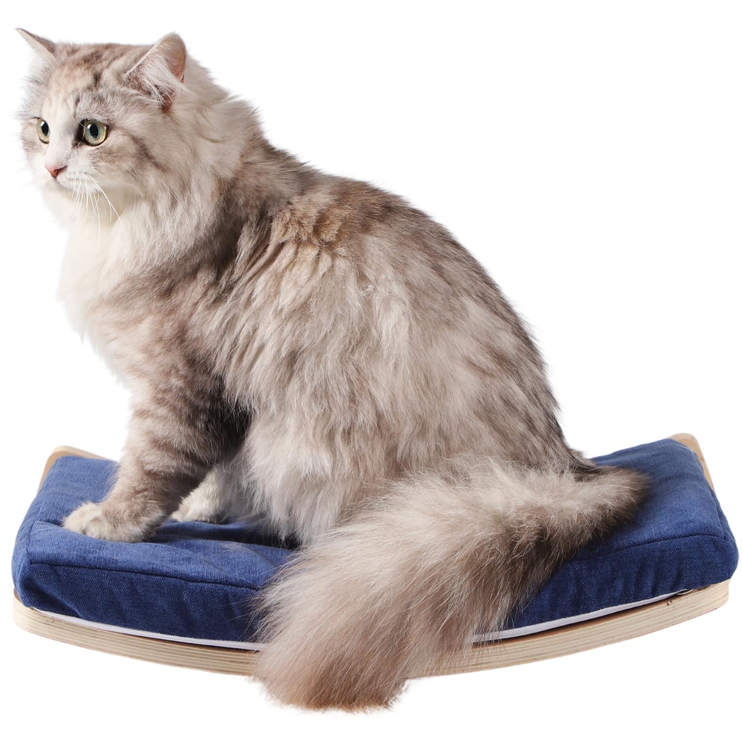 COOLEX Curved Cat Shelves and Perches, Floating Cat Wall Bed with Comfortable Cushion