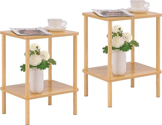 Apicizon 2 Tier End Table Set of 2, Small Side Table