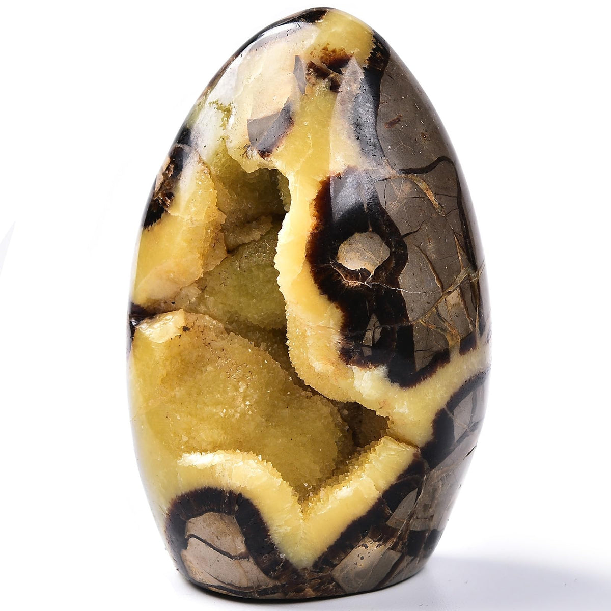 MOGEMT Septarian Geodes Large Healing Crystal Stones Rock Cluster Septarium Druzy Irregular Home Decoration Specimen 1.5-2 Lbs