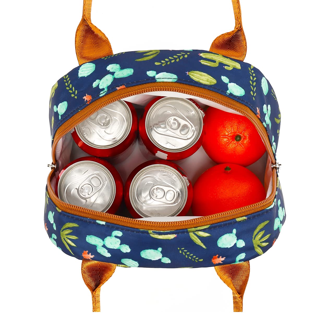 FlowFly Insulated Lunch Cooler Bag - Tote Bag Organizer for Women/Men, Cactus