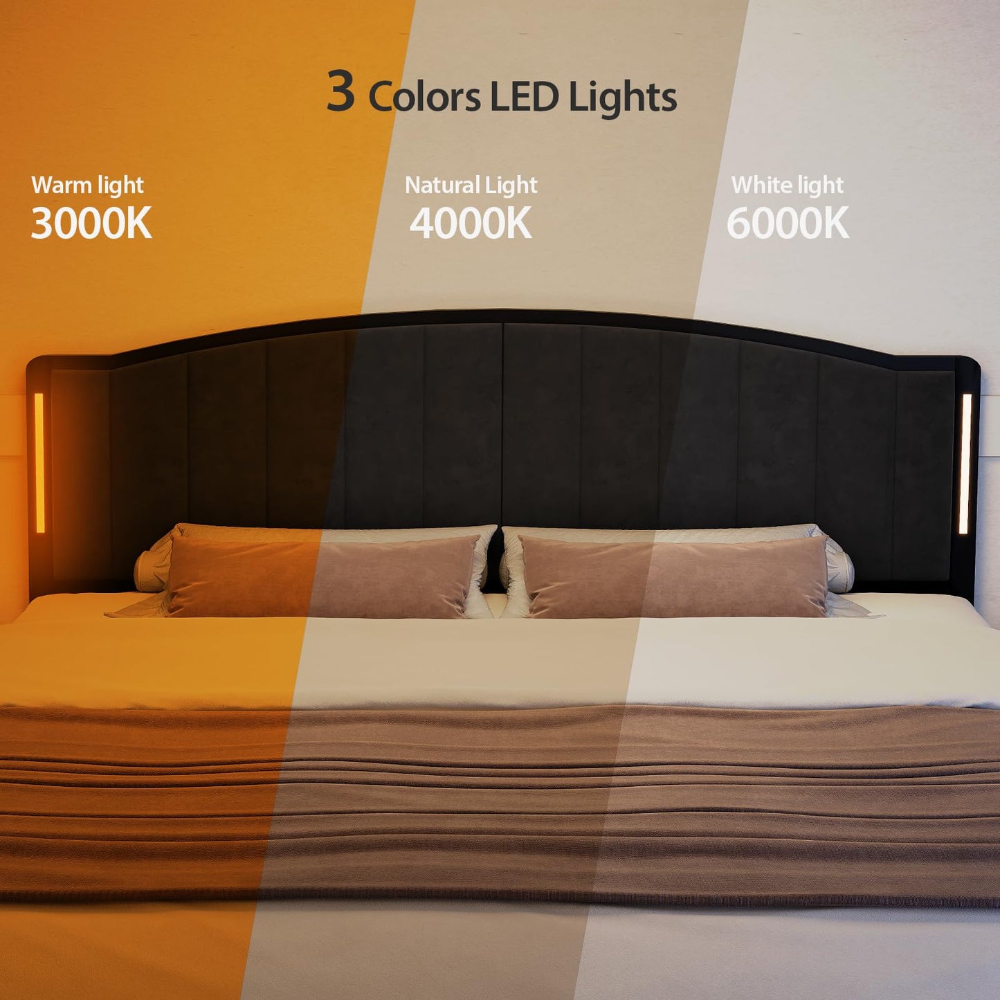 Salamir Headboard for Queen Size Bed with LED Lights, Upholstered Vertical Channel Tufting Head Boards, Velvet Headboard Only, Attach Frame, Ideal for Bedroom, Dorm, Guest Room, Black