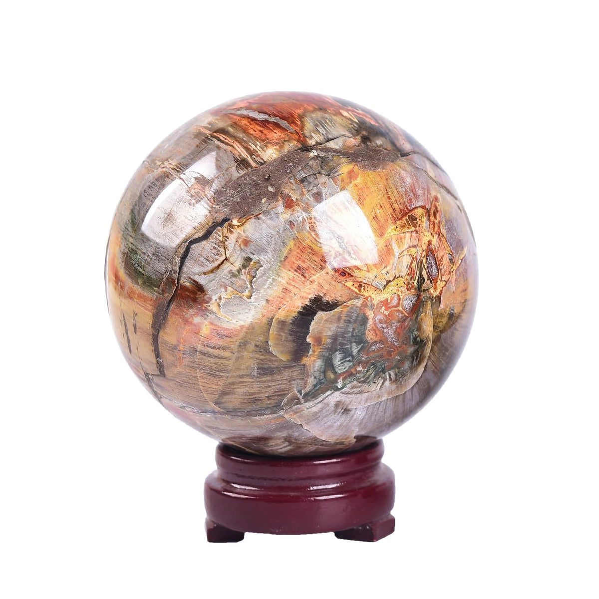 AMOYSTONE Crystal Sphere Heavy Petrified Wood Orb for Living Room Decor