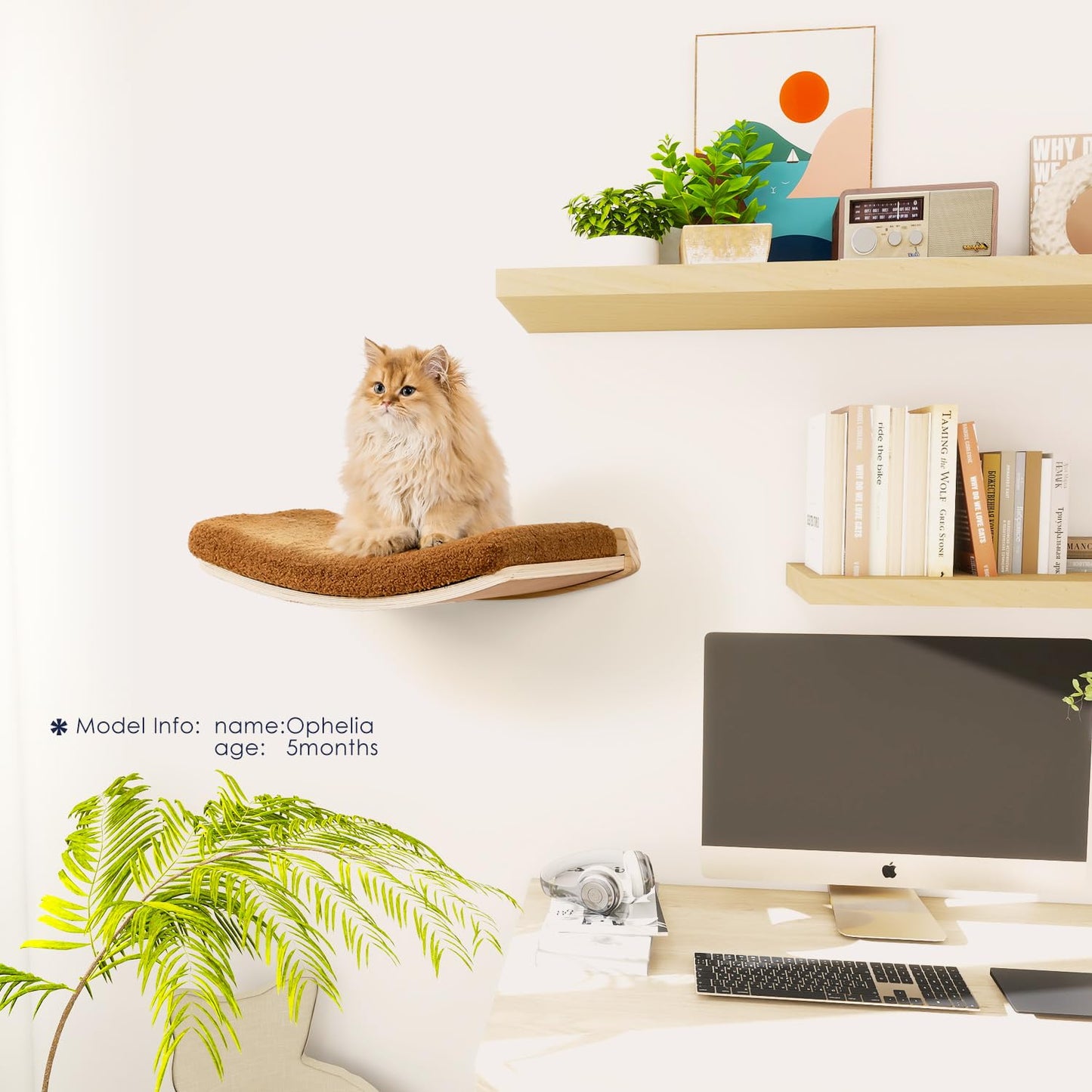 COOLEX Curved Cat Wall Shelves and Perches, Floating Cat Wall Bed Furniture with Comfortable Cushion