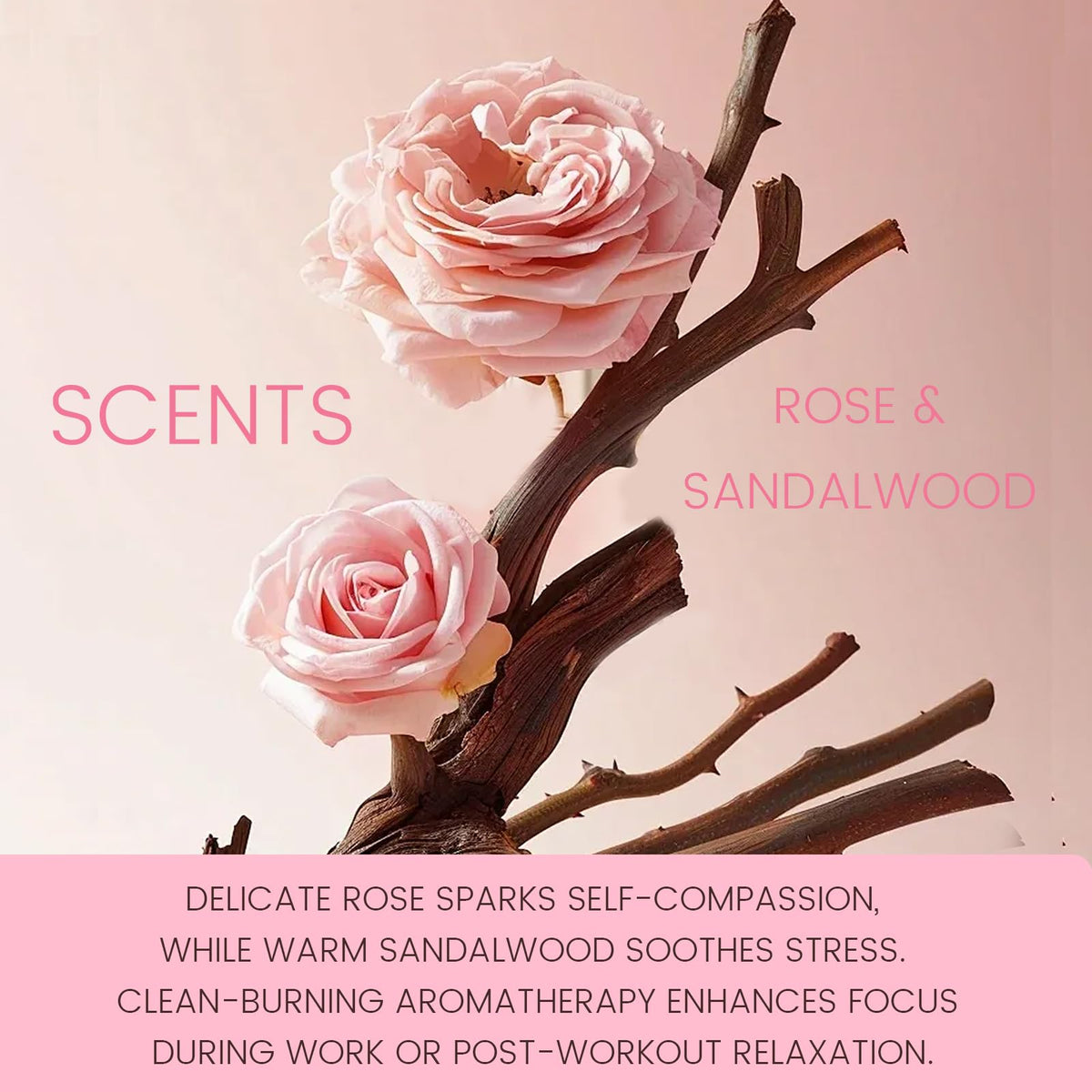 Attract Love & Nurture Self | Incense Sticks Crystal Holder Kit | Rose Quartz Gem Stones with 80 Natural Sticks Palo Santo Incense-Stick | Home,Healing,Reiki,Meditation,Yoga & Relaxation