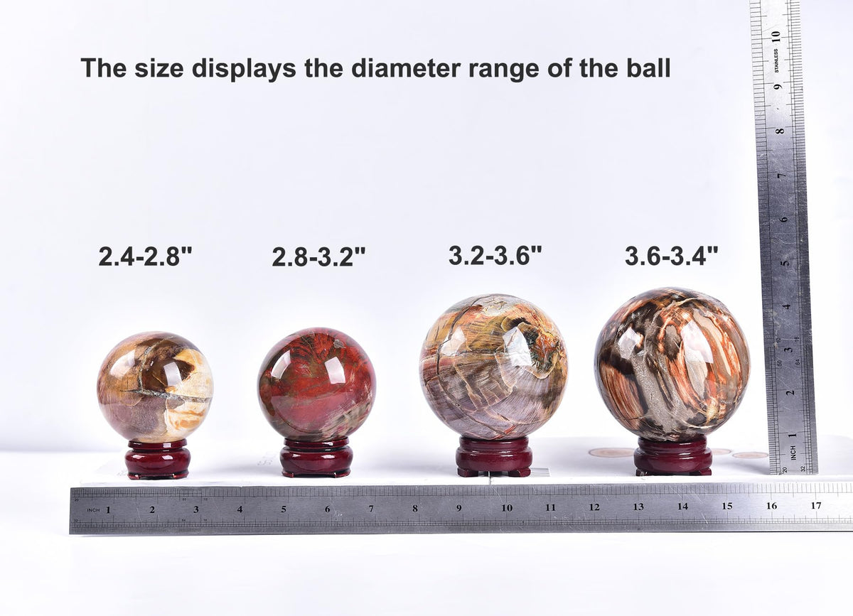 AMOYSTONE Crystal Sphere Heavy Petrified Wood Orb for Living Room Decor