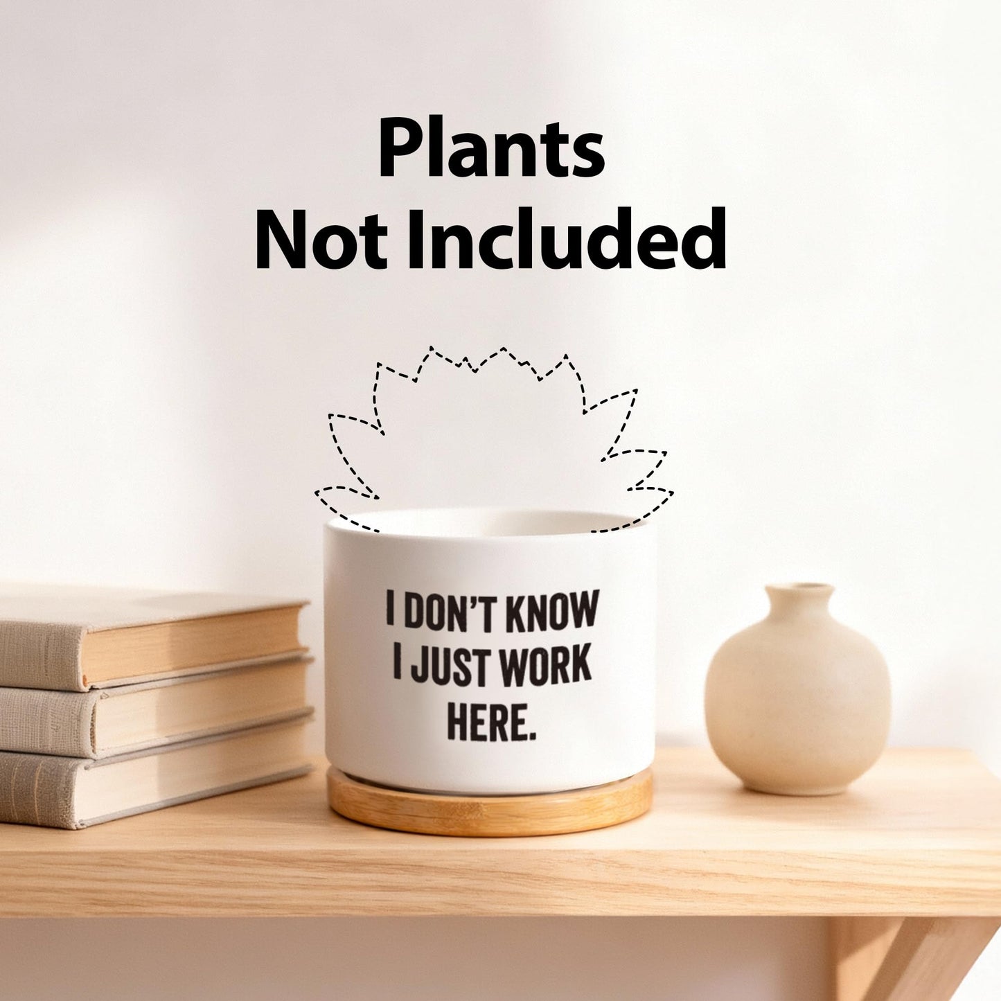 I Don’t Know I Just Work Here Ceramic Succulent Plant Pot with Bamboo Tray Round Sarcastic Gifts for Coworkers Officemates Office Gifts Home Office Decor Plant Lover 3.5 Inch White (No Plants)