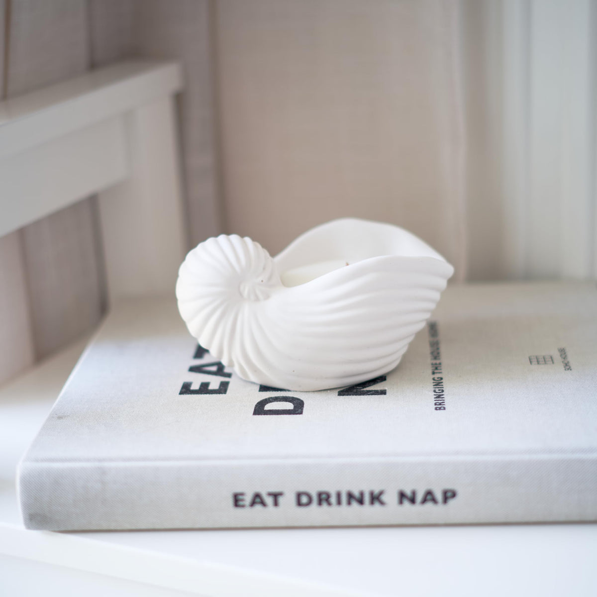 Gladsome® Concrete Sea Shell Jar Candle | Velvet Rose Aroma | 12+Hours Burn Time | Perfect for Home Decor & Gifting (J)