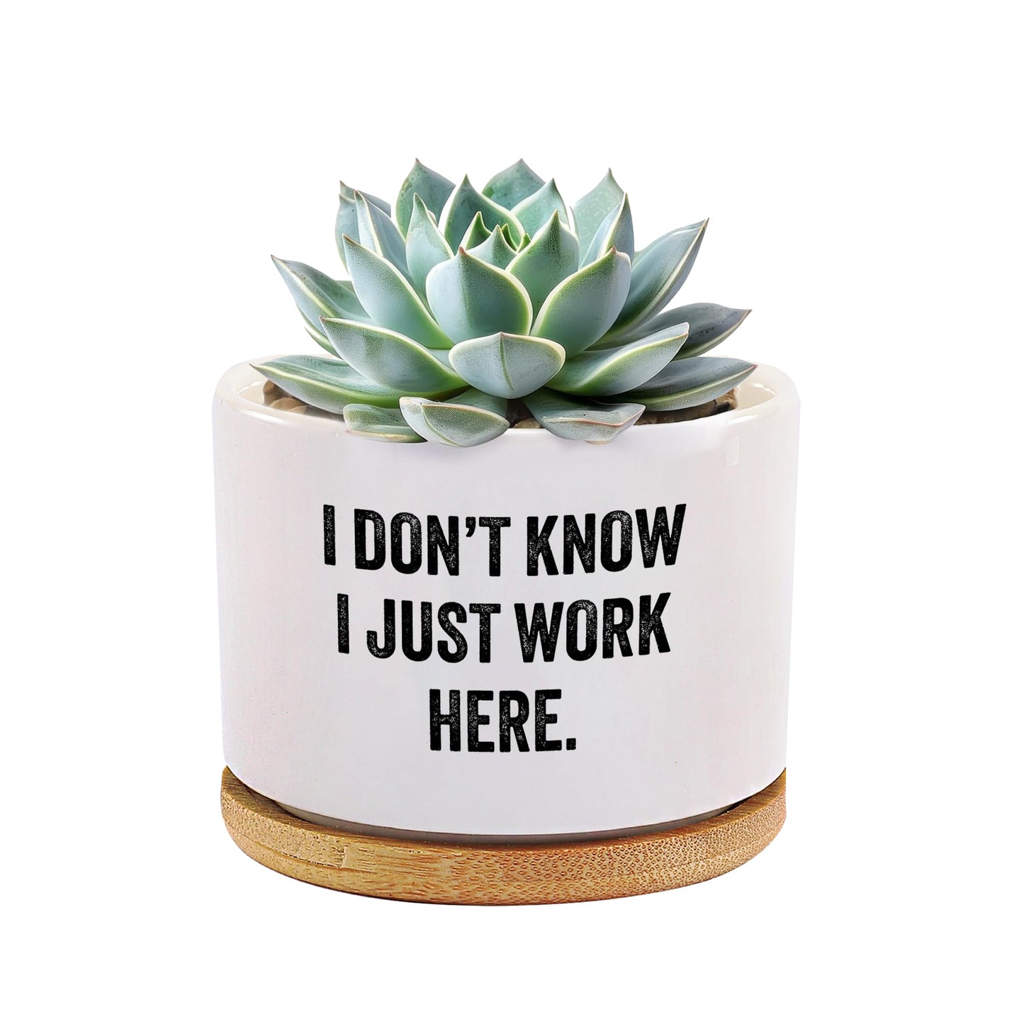 I Don’t Know I Just Work Here Ceramic Succulent Plant Pot with Bamboo Tray Round Sarcastic Gifts for Coworkers Officemates Office Gifts Home Office Decor Plant Lover 3.5 Inch White (No Plants)