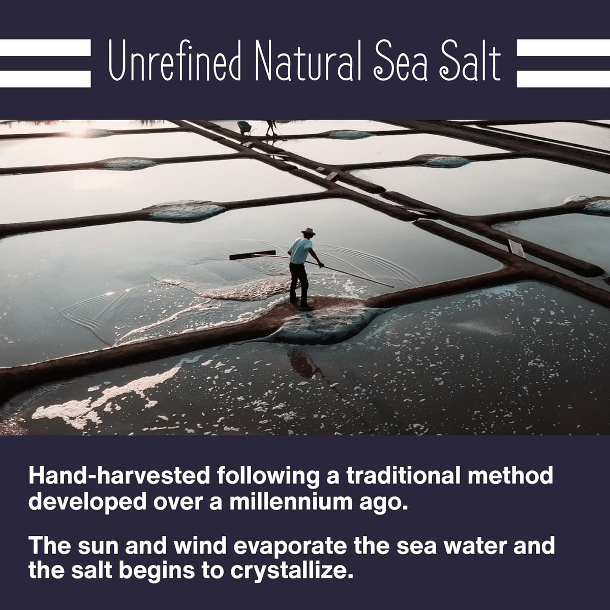 Le Marinier Celtic Salt Organic Fine Ground, 1 lb - 16oz. Mineral Rich 100% Natural and Unrefined. Refillable Salt Shaker. French Sea Salt with Vital Minerals. Hand Harvested (1 lb Fine Ground)