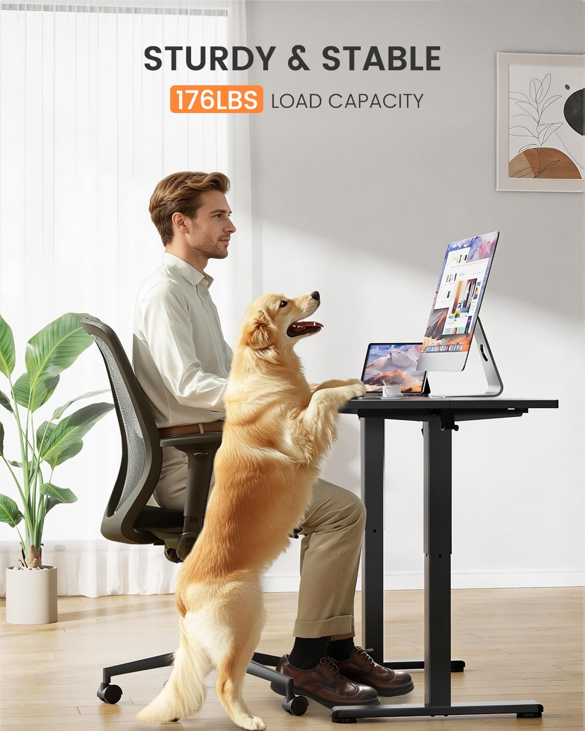 ErGear Low Height Adjustable Desk, Lifts 18.9-28.4 Inches, 35 X 20 Inches Electric Standing Desk for Kids, 4 Height Memory Settings & Storage Hooks, Home Office Computer Table & Study Desk, Black