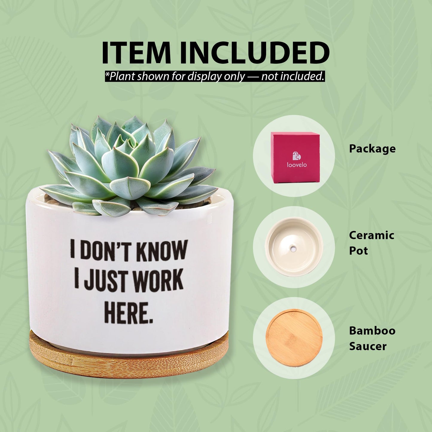 I Don’t Know I Just Work Here Ceramic Succulent Plant Pot with Bamboo Tray Round Sarcastic Gifts for Coworkers Officemates Office Gifts Home Office Decor Plant Lover 3.5 Inch White (No Plants)