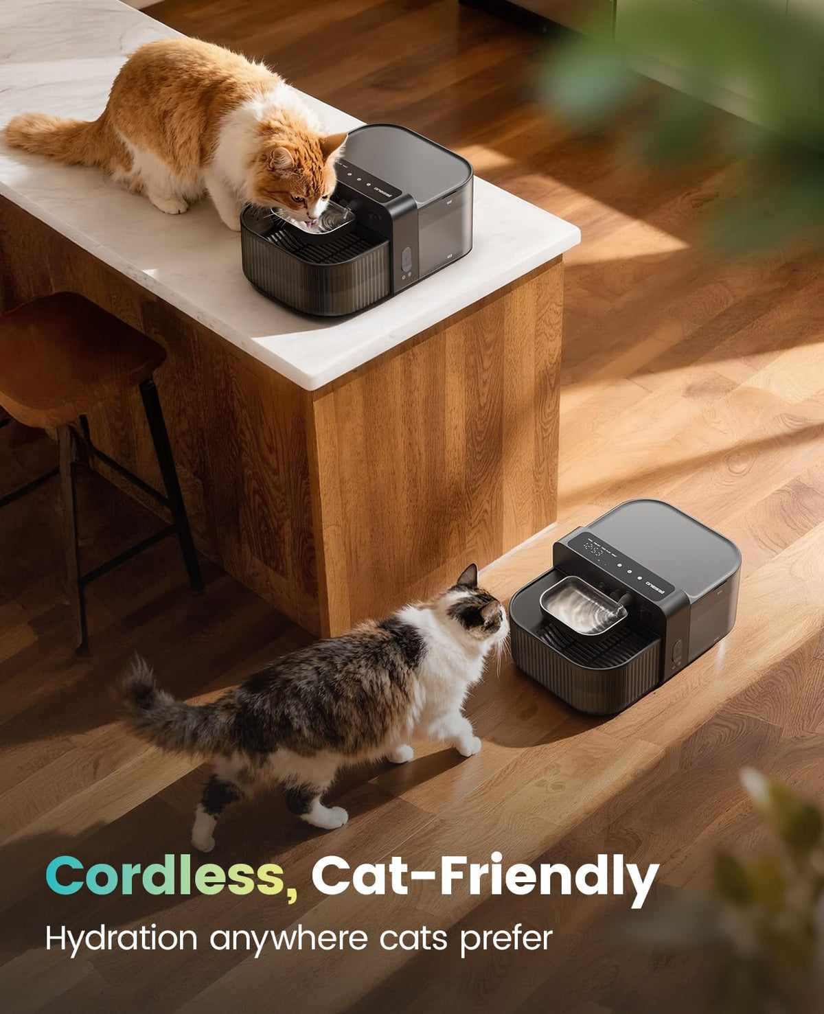 oneisall Wireless Filterless Cat Water Fountain, Separate Clean and Dirty Water Pet Fountain with Stainless Steel Bowl, 3.5L/118oz Quiet No Filter Smart FreshFill Automatic Cat Water Dispenser, Black