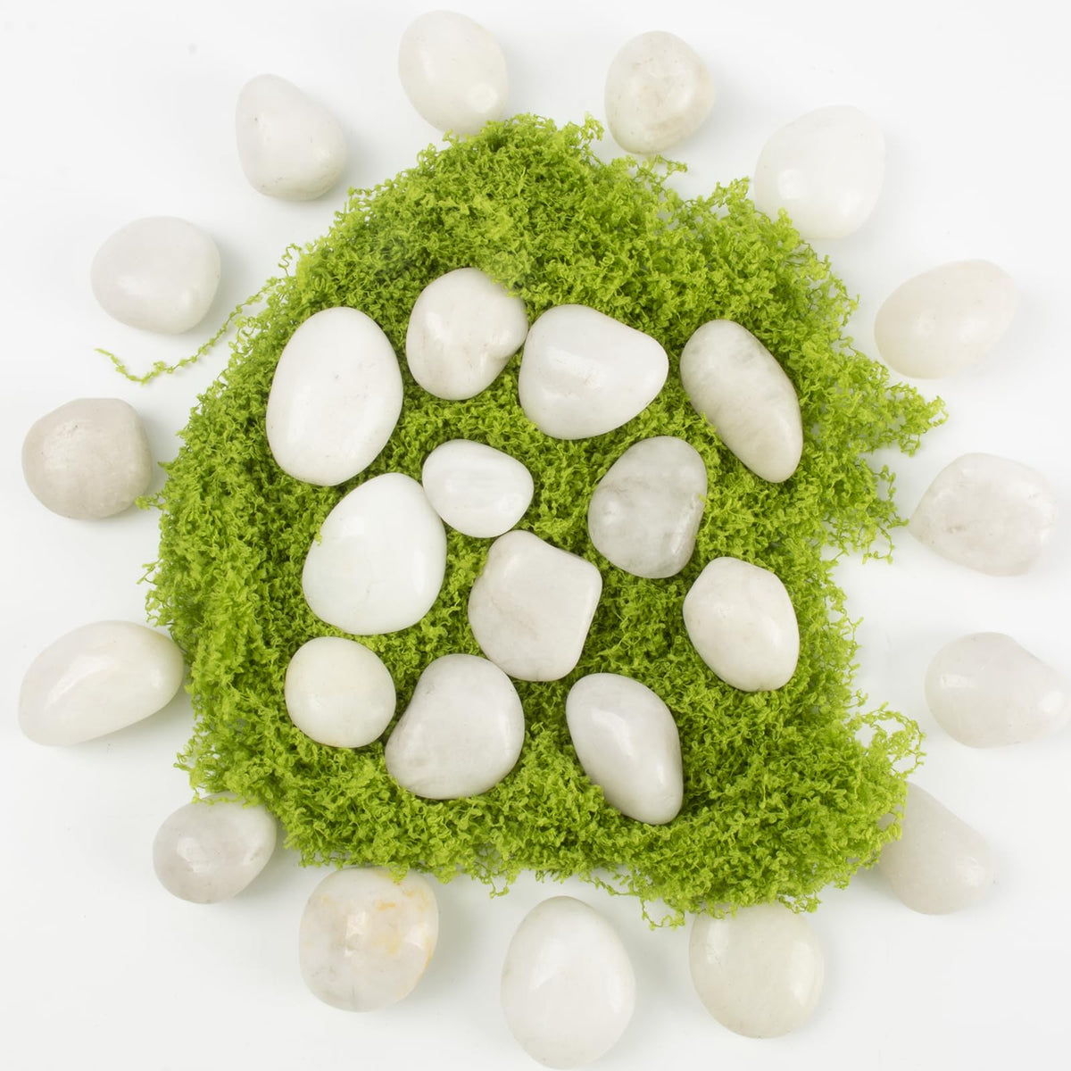 River Rocks - Natural Polished White Pebbles, 0.5-1 inch, 10 Lbs - Ideal for Indoor Planting, Vase Filling, Aquarium Decoration, and Garden Landscaping (White, Weight: 10 LB)