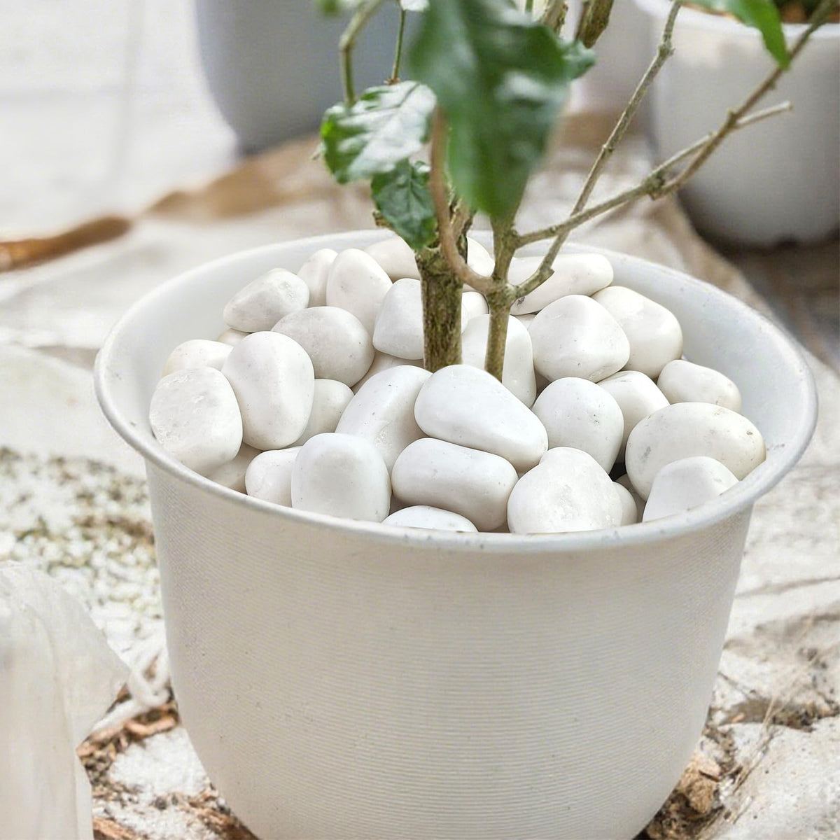 SHIZWU 40lbs White Rocks for Landscaping,2-3 Inch Decorative Pebbles for Plants,River Rocks for Backyard,Flower Beds, Indoor Fountains, Paths, Aquarium Vase,Outdoor Garden
