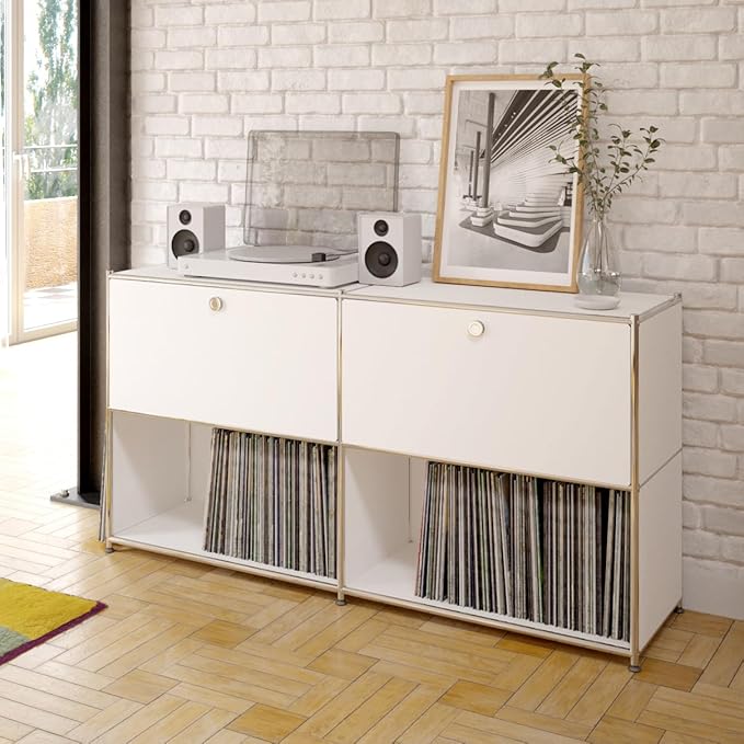 Metal Sideboard with 2 Flap Doors, DIY Modern Home Furnishing, Foyer