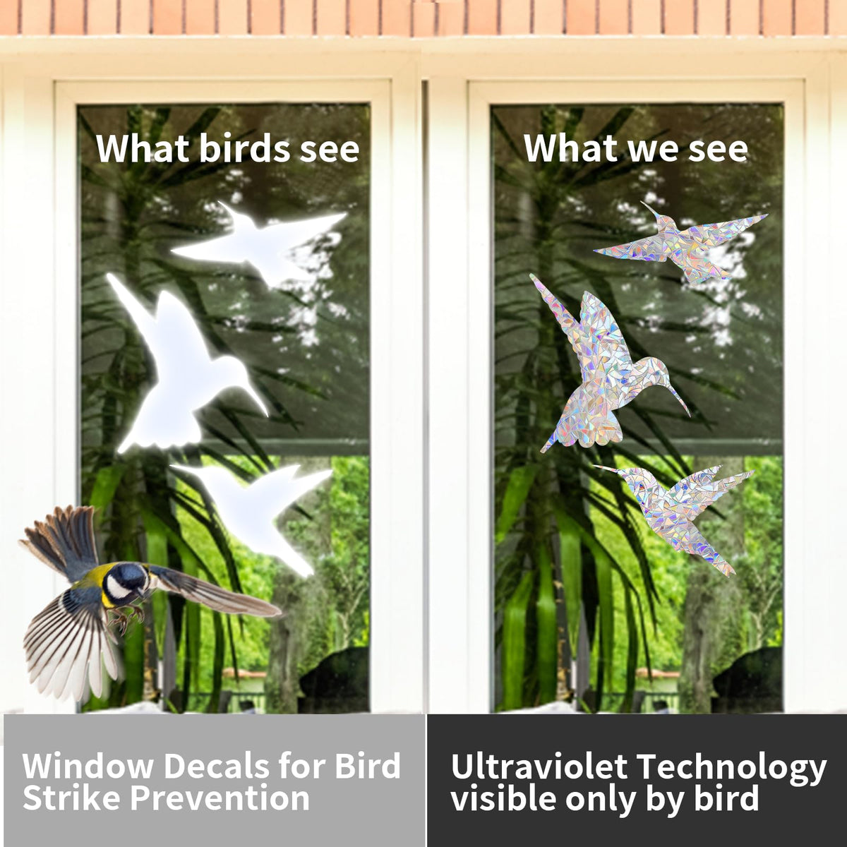 Window Decals to Prevent Bird Strikes, 24 Pieces Window Clings Stickers for Birds Strike Prevention (Bird)