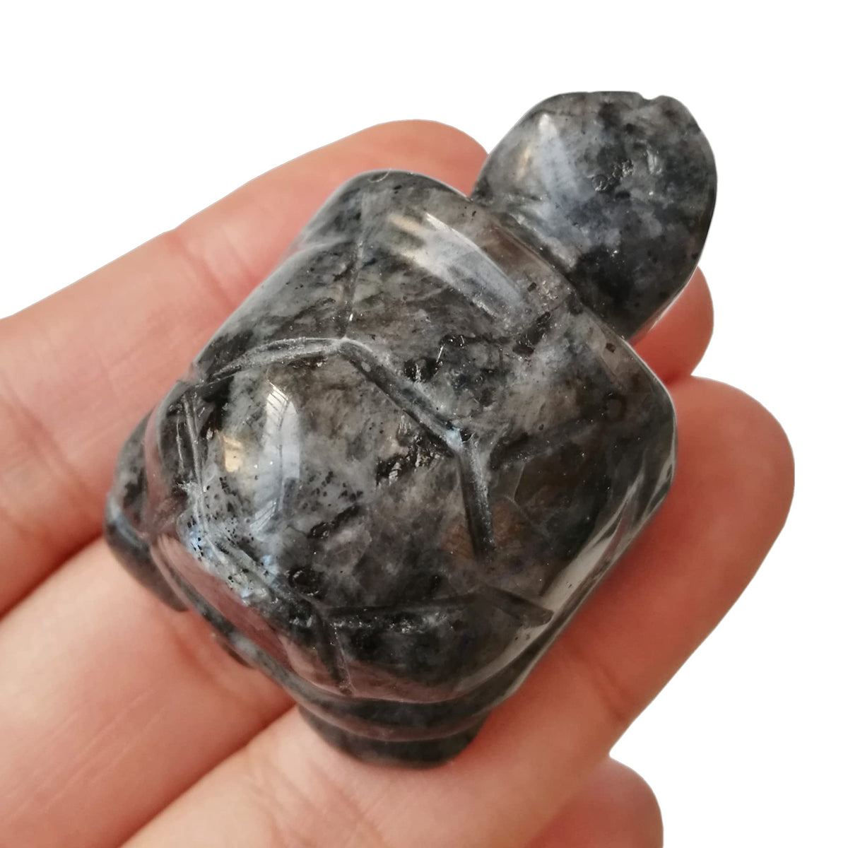 Bacatgem 1 Pcs Black Labradorite Tortoise Crystals and Healing Stones, 1.5" Hand Carved Animal Collectible Sculpture Fengshui Healing Crystal