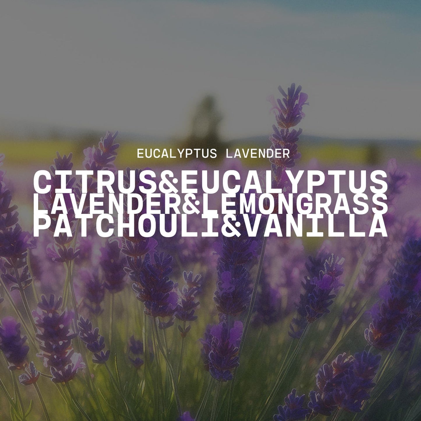 Milkhouse Candle Company Eucalyptus Lavender Soy Candle - Lavender | Eucalyptus | Soft Spice Scented - 16 oz Butter Jar with Lid, 65+ Hour Burn Time, Made in the USA