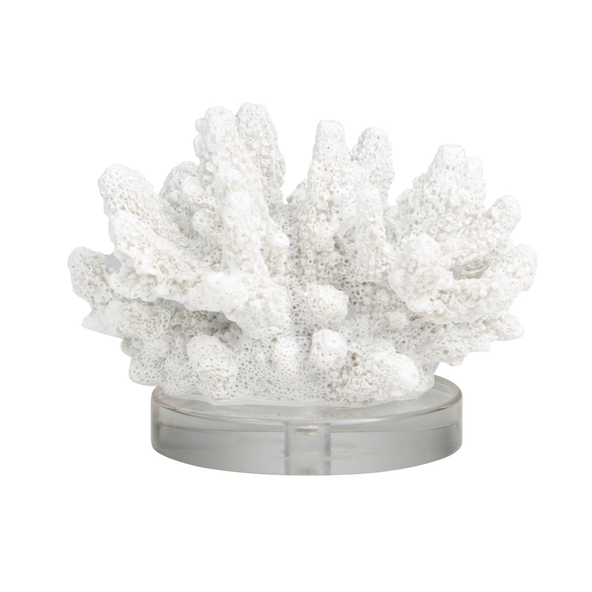 Deco 79 Polystone Coral Decorative Sculpture Small Textured Home Decor Statue with Clear Acrylic Base, Accent Figurine 6" x 5" x 4", White