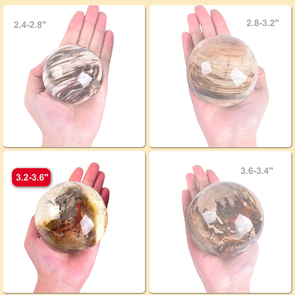 AMOYSTONE Crystal Sphere Heavy Petrified Wood Orb for Living Room Decor