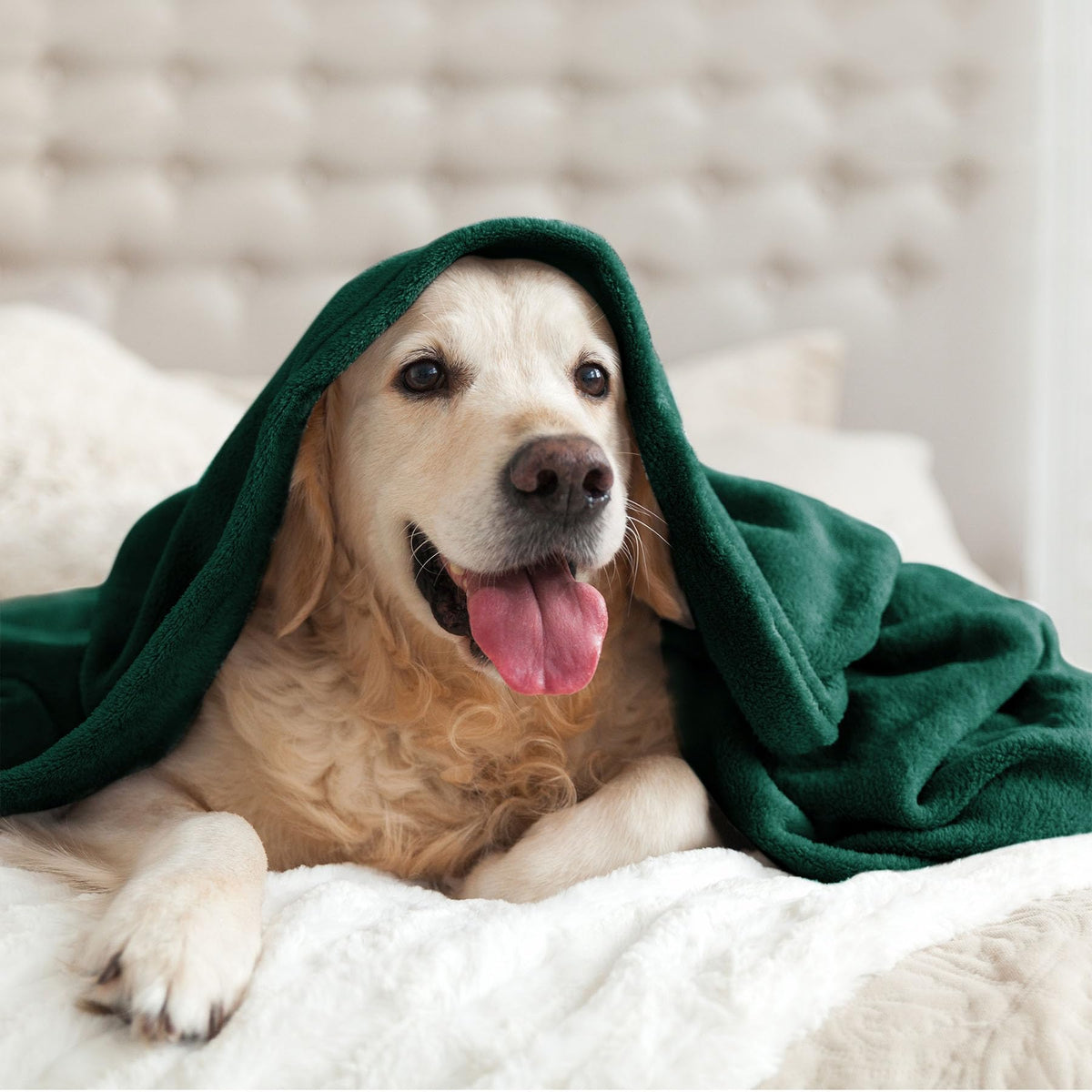 BEDELITE Fleece Blanket Christmas Forest Green Throw Blankets for Couch & Bed, 300GSM Luxury Plush Cozy Fuzzy Blanket 50" x 60", Super Soft Warm Lightweight Throw Blanket for Travel Camping