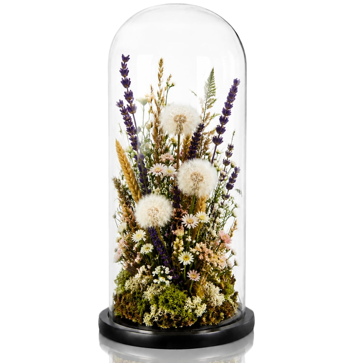ZOOFOX 13.8 Inch Tall Glass Dome with Base, Clear Glass Empty Display Cloche, Decorative Bell Jar for Succulents, Collectibles, Fairy Lights, Photos, Medals, Heirlooms