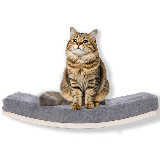 COOLEX Curved Cat Shelves and Perches, Floating Cat Wall Bed with Comfortable Cushion