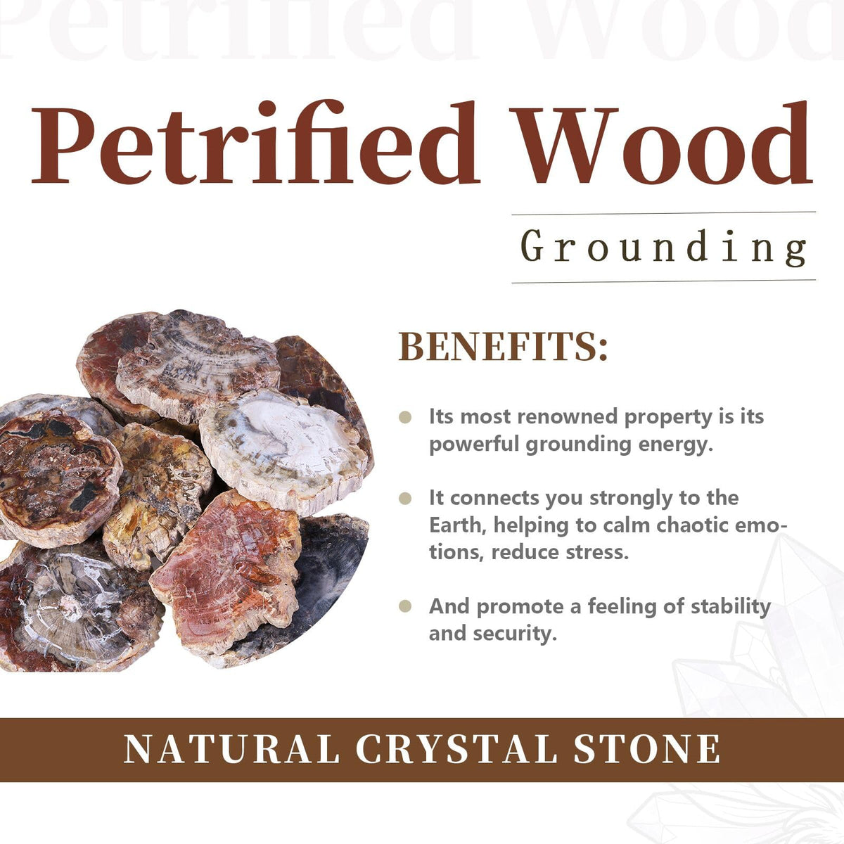 rockcloud 3.3-5" Natural Irregular Petrified Wood Stones Coaster Cup Mat Chakra Healing Stone Specimen 1 PC