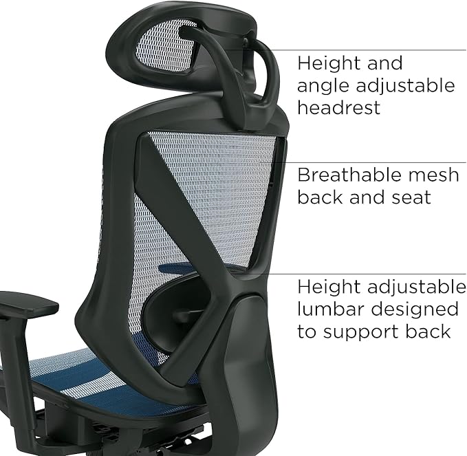 STAPLES Ergonomic Task Chair, Lumbar Support
