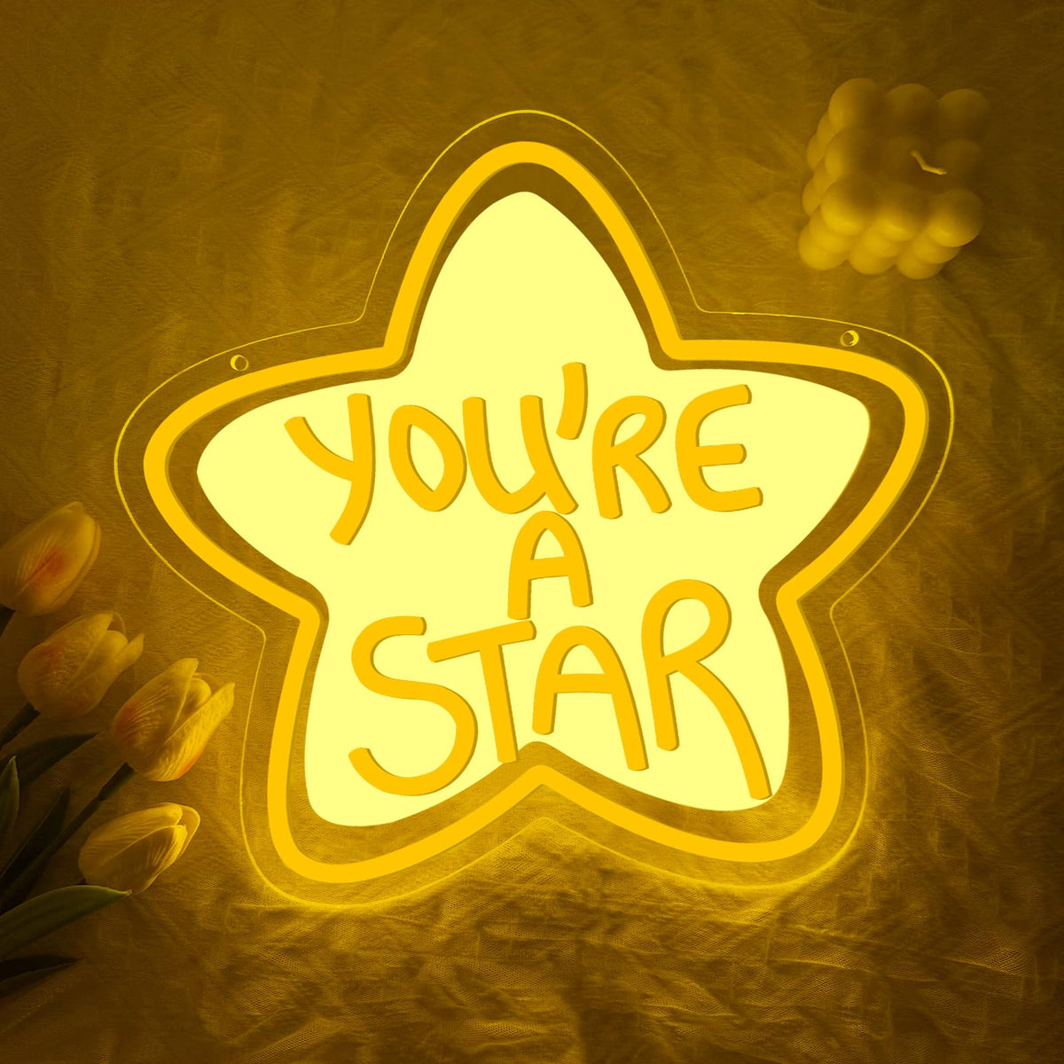 You're A Star Neon Sign,Star Dimmable LED Light Signs for Wall Art Decor,Inspirational Backdrop for Bedroom Club Party Kids' Rooms Classrooms,Gift for Women Man Teen USB Powered（13.8"*11.6"）