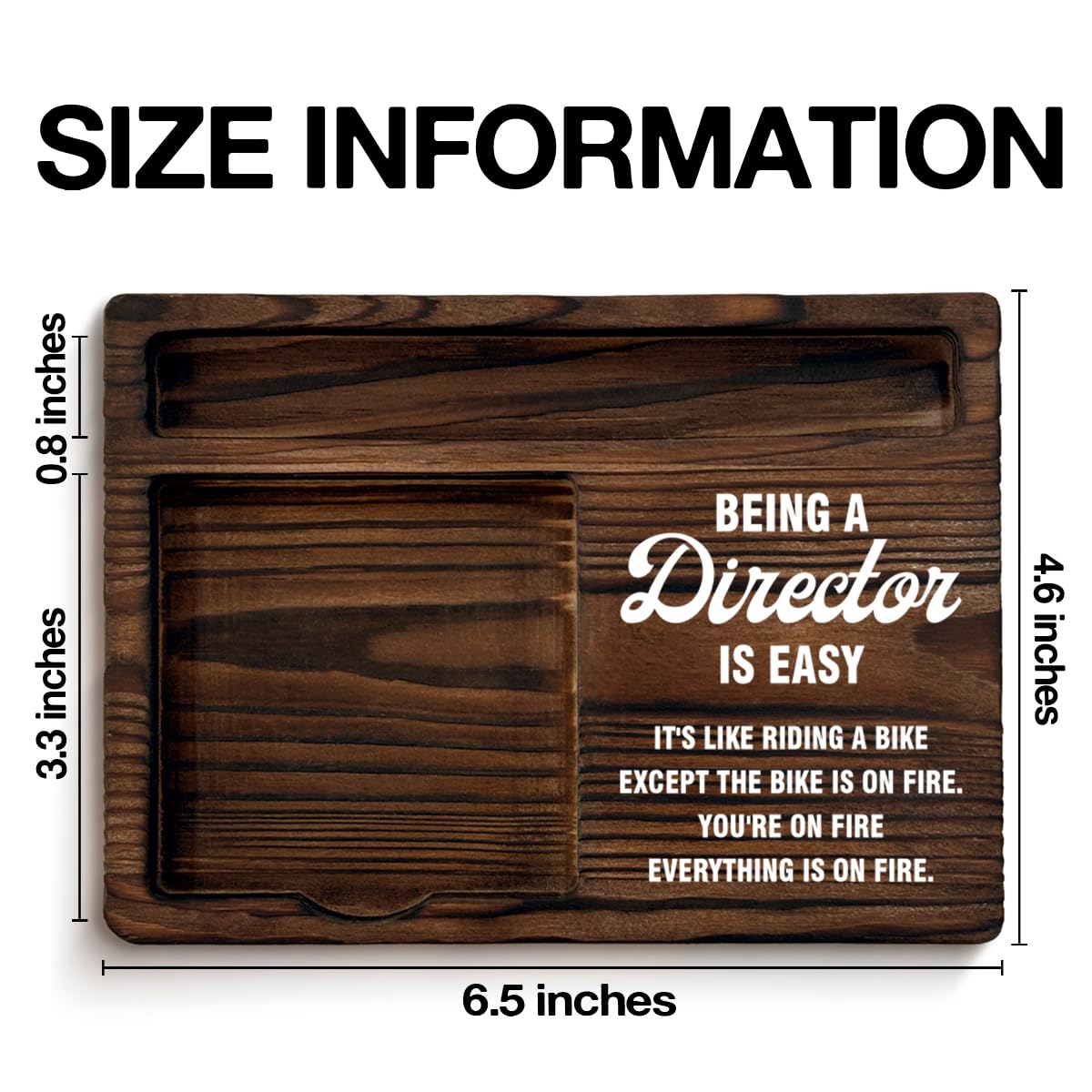Funny Director Gifts for Women Men, Gifts for Directors Appreciation Thank You Birthday Christmas, Being a Director is Easy Sticky Note Holder Office Home Decor