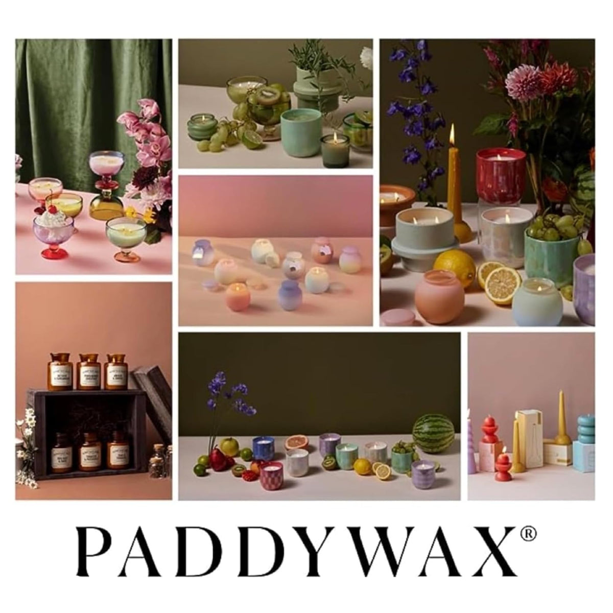 Paddywax Artisan Apothecary Scented Candle with Lid in Reusable Glass Jar, Clean-Burn Soy Candle with Approx. 54 Hour Burn Time, Pumpkin & Spice, 8 oz.