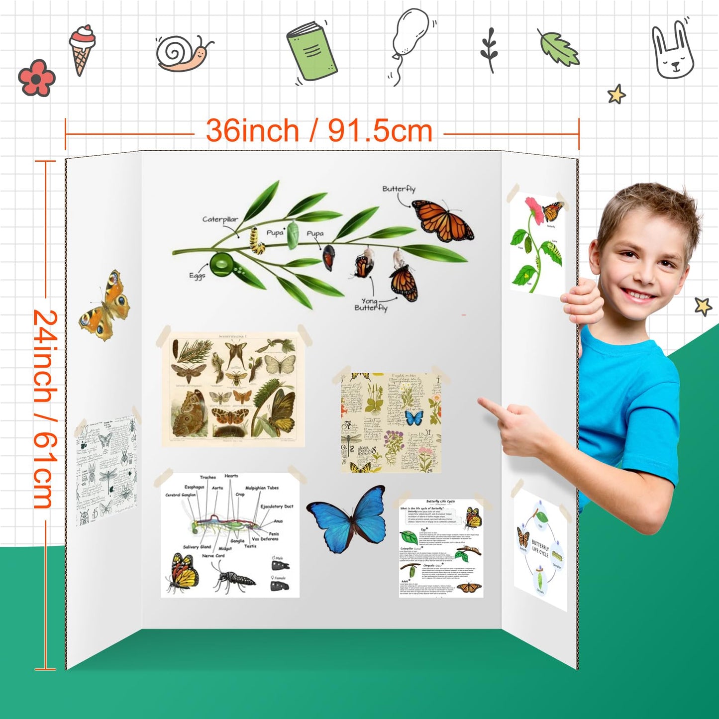 Trifold Poster Board 6 Pack, IKAYAS 24 X 36 Inch Double Sided White Poster Boards, Science Fair Display Boards Presentation Boards for Mounting, Prints, Art, Display, Projects Classroom Supplies