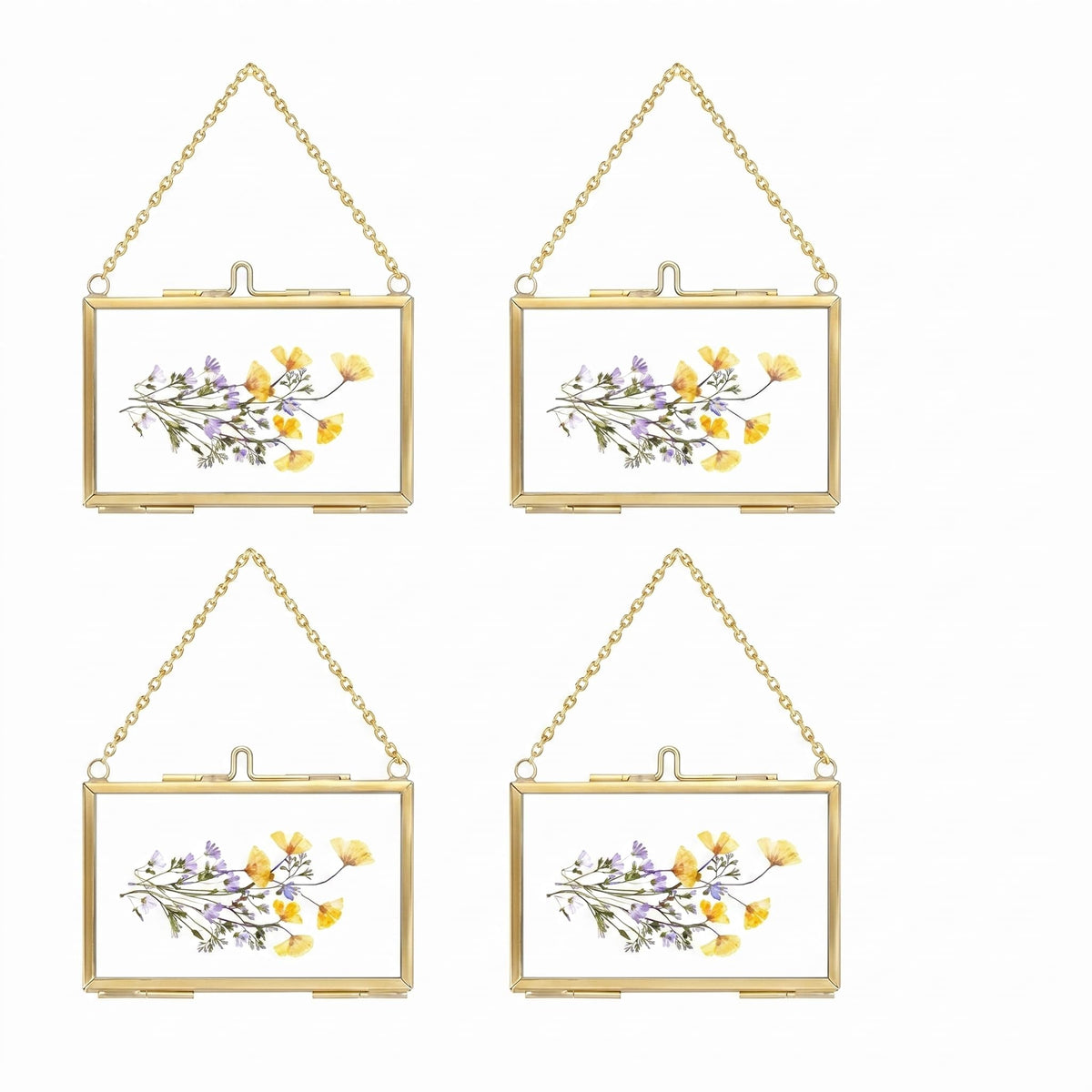 FOCHIER F 4 Pcs Pressed Flower Frame, Wall Hanging Tabletop Display Double Glass Frames with Metal Chain for Pressed Dried Flowers Plants, Horizontal and Vertical Picture Frame, Black, FRAMES ONLY